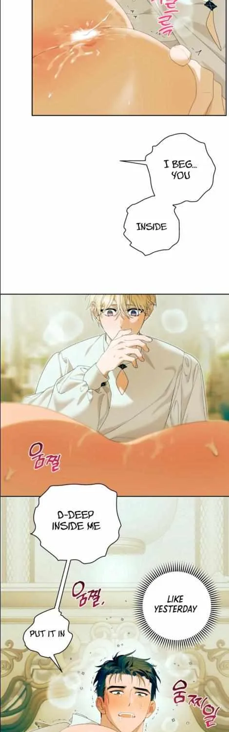 Read Patera chapter 8 image 33 on Lezhin