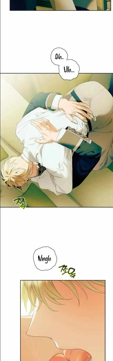 Read Patera chapter 8 image 7 on Lezhin