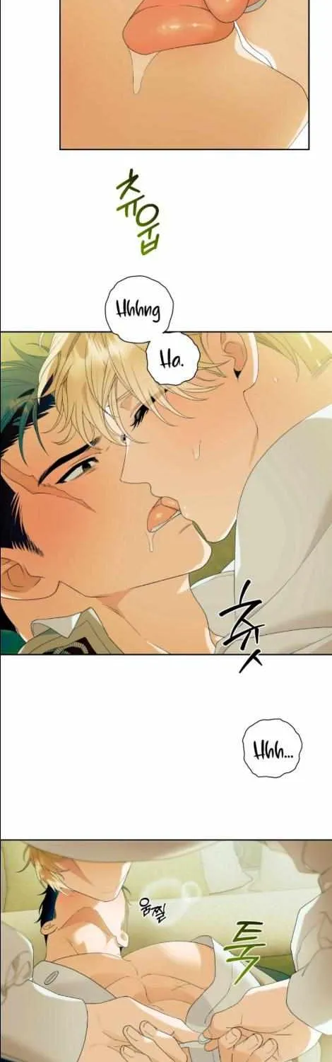 Read Patera chapter 8 image 8 on Lezhin