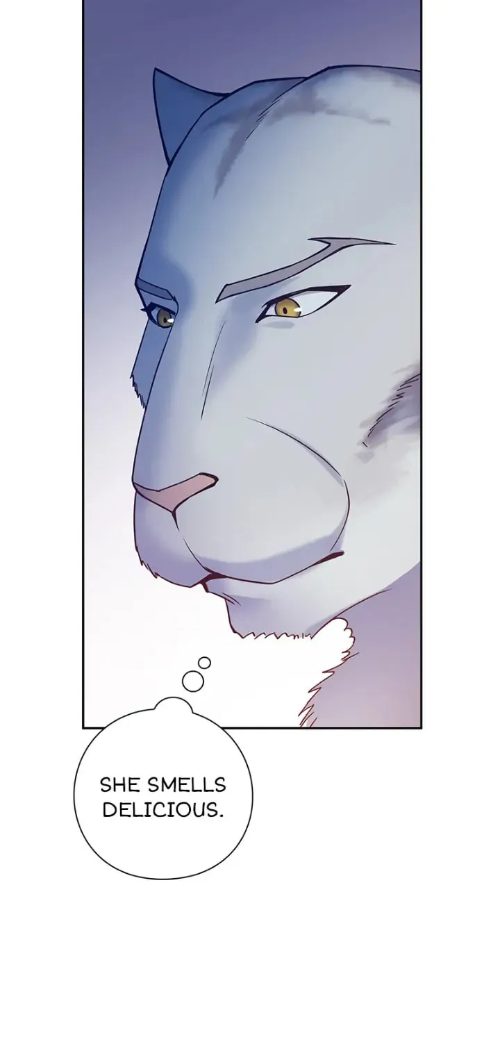 Read PathFinder chapter 2 image 62 on Lezhin