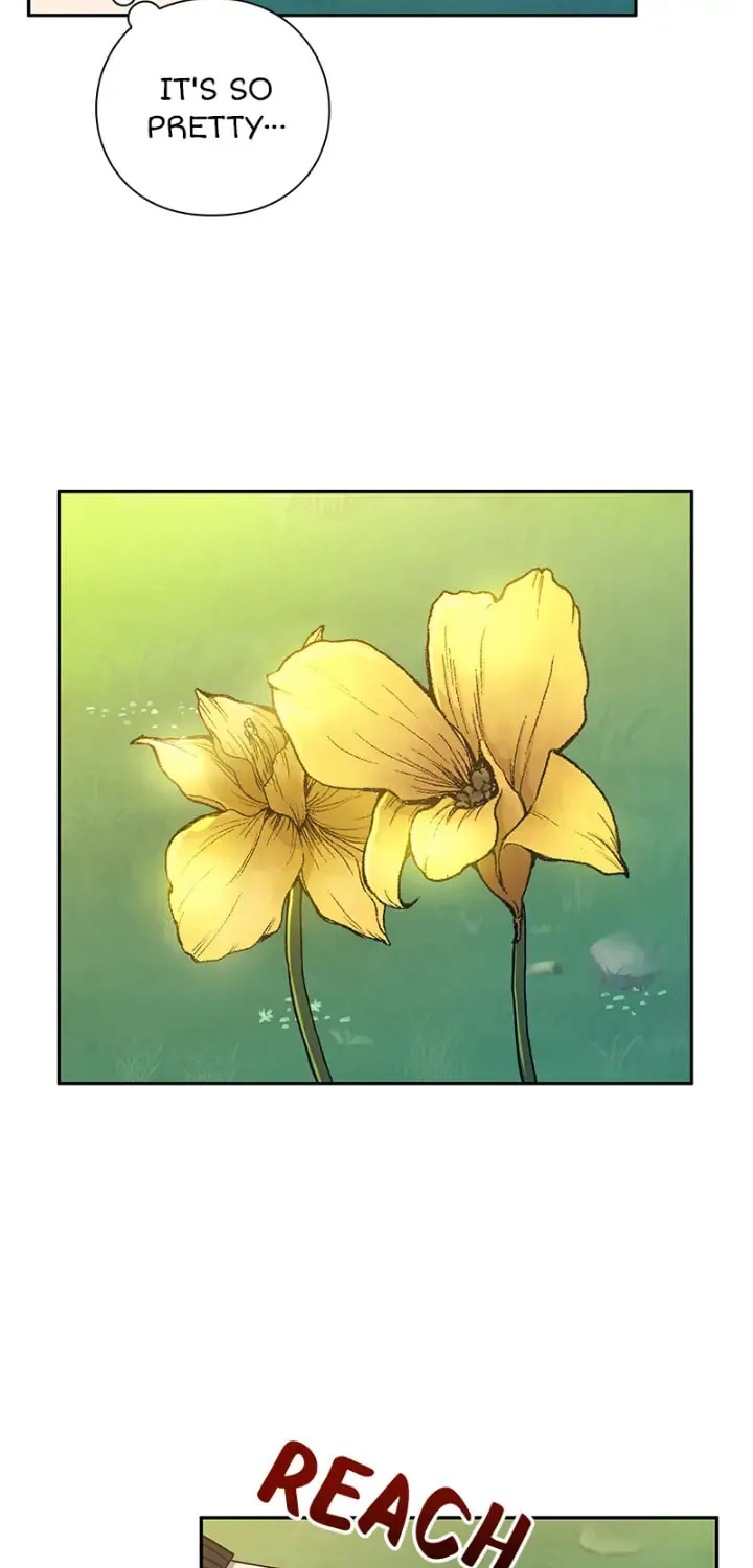 Read PathFinder chapter 6 image 46 on Lezhin