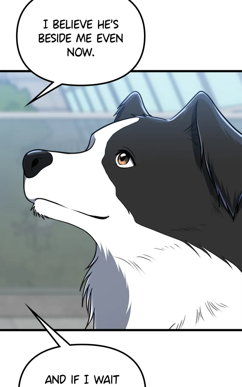 Read Paw-ther Knows Best chapter 63 image 77 on Lezhin