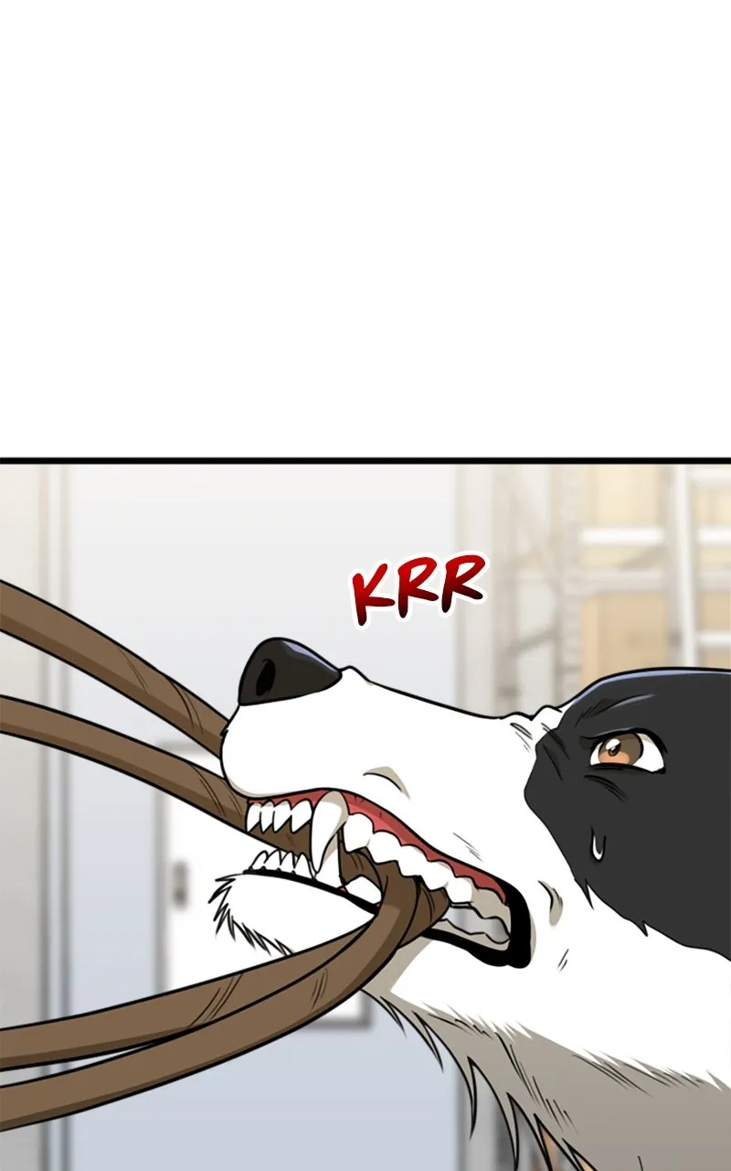 Read Paw-ther Knows Best chapter 63 image 9 on Lezhin