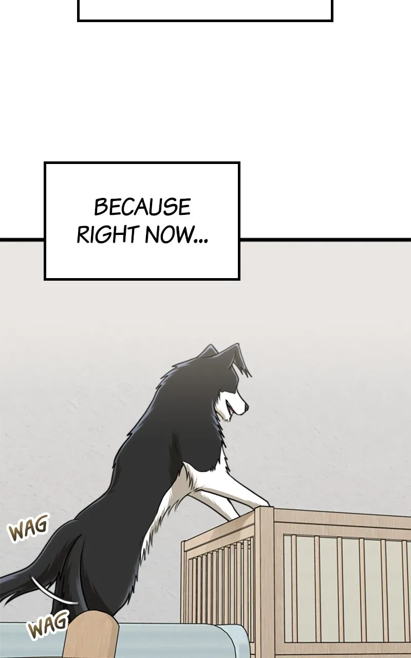 Read Paw-ther Knows Best chapter 65 image 4 on Lezhin