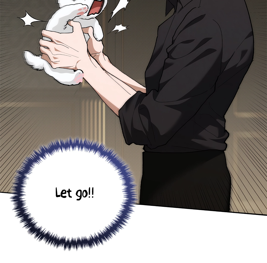 Read Paws & Claws chapter 0 image 17 on Lezhin