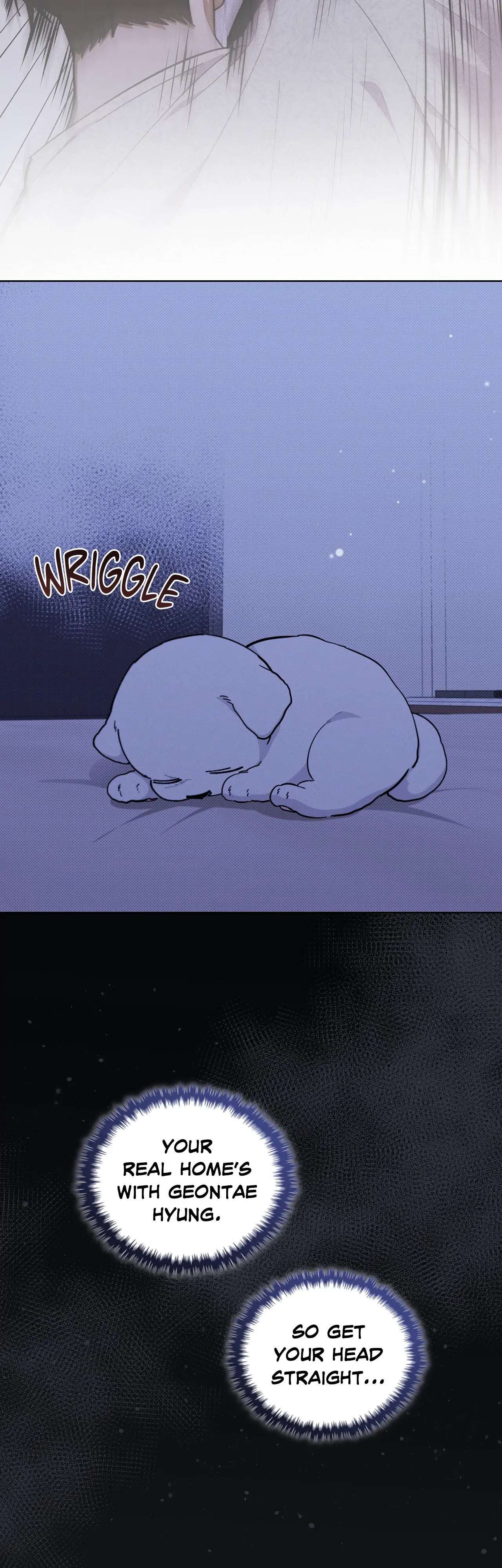 Read Paws & Claws chapter 13 image 12 on Lezhin