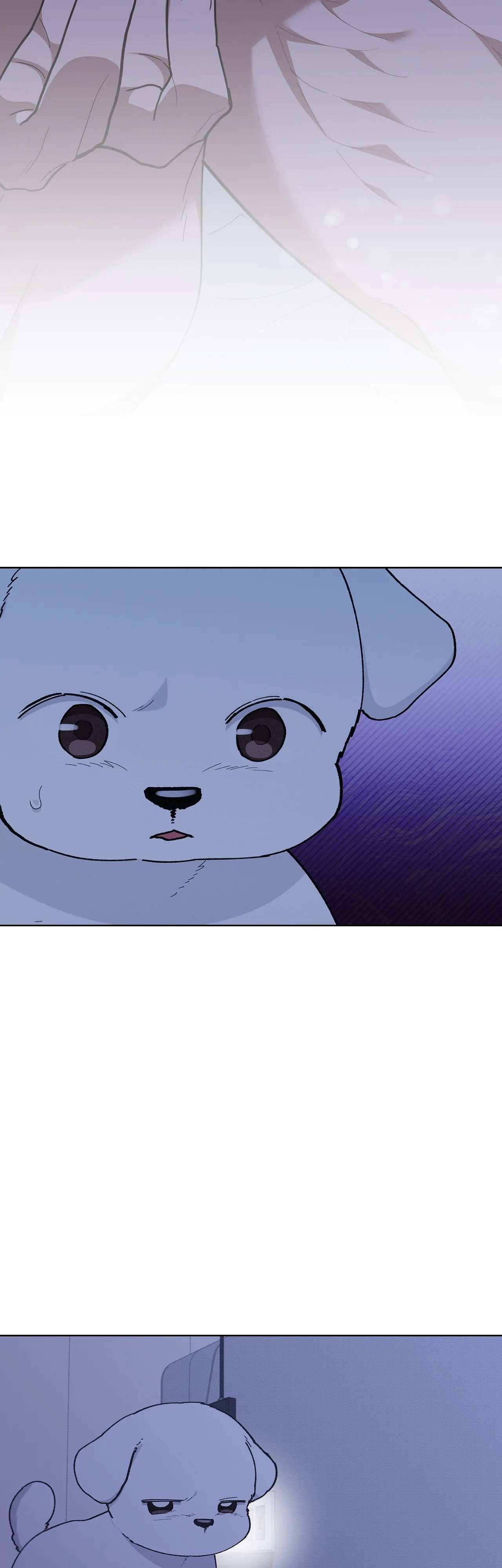 Read Paws & Claws chapter 13 image 2 on Lezhin
