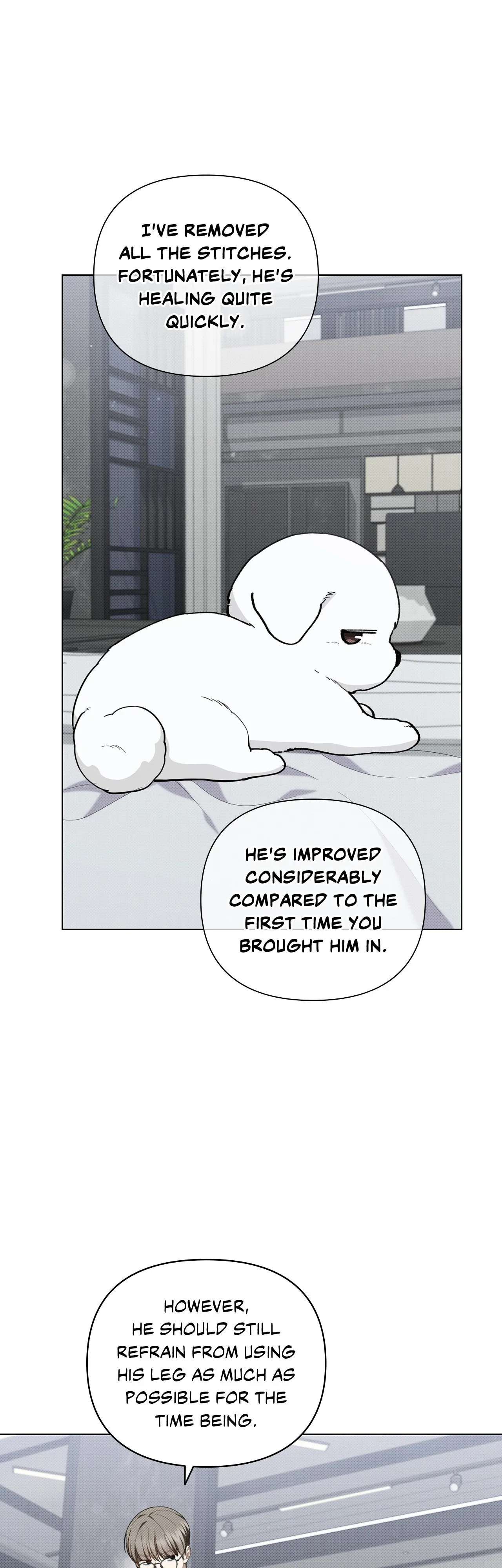 Read Paws & Claws chapter 13 image 38 on Lezhin
