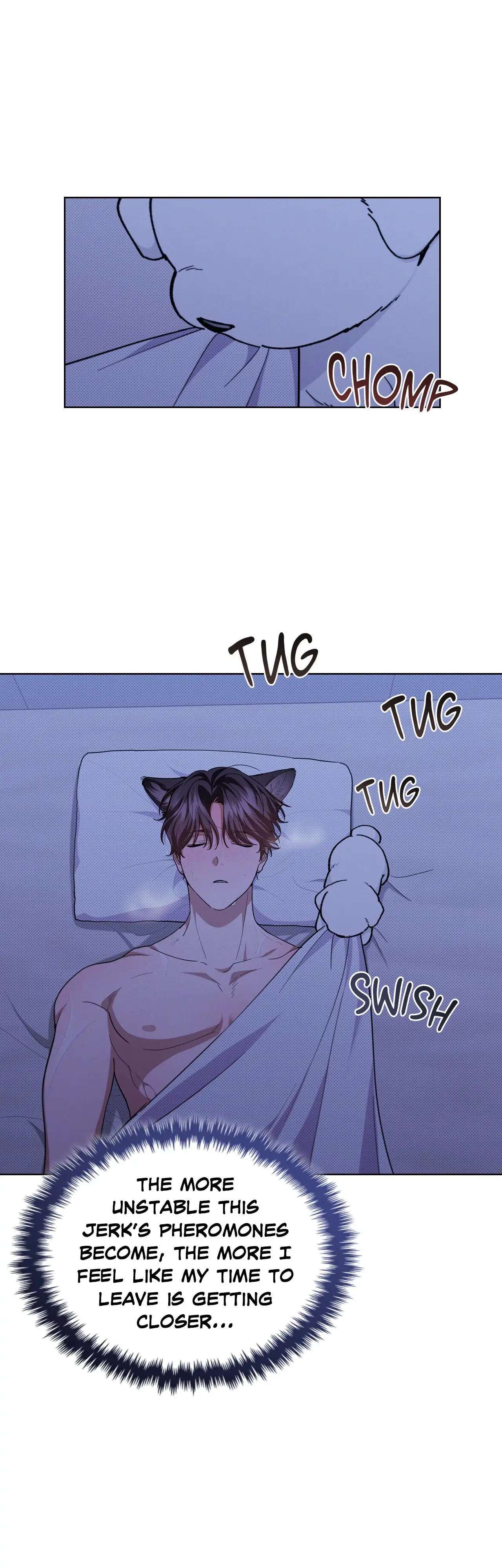 Read Paws & Claws chapter 13 image 8 on Lezhin