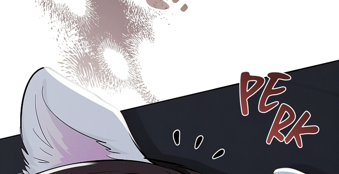 Read Paws & Claws chapter 18.1 image 140 on Lezhin
