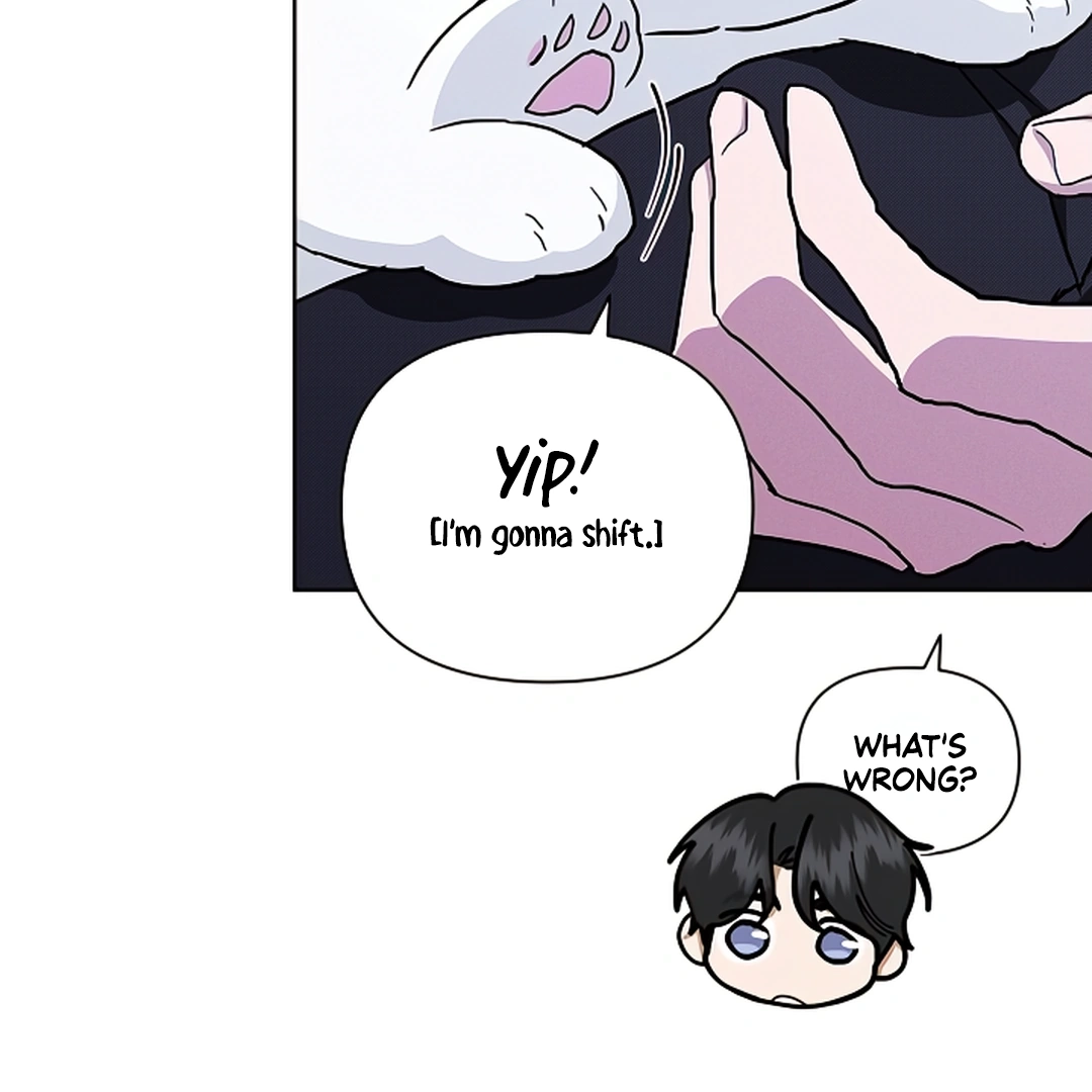 Read Paws & Claws chapter 18.1 image 57 on Lezhin