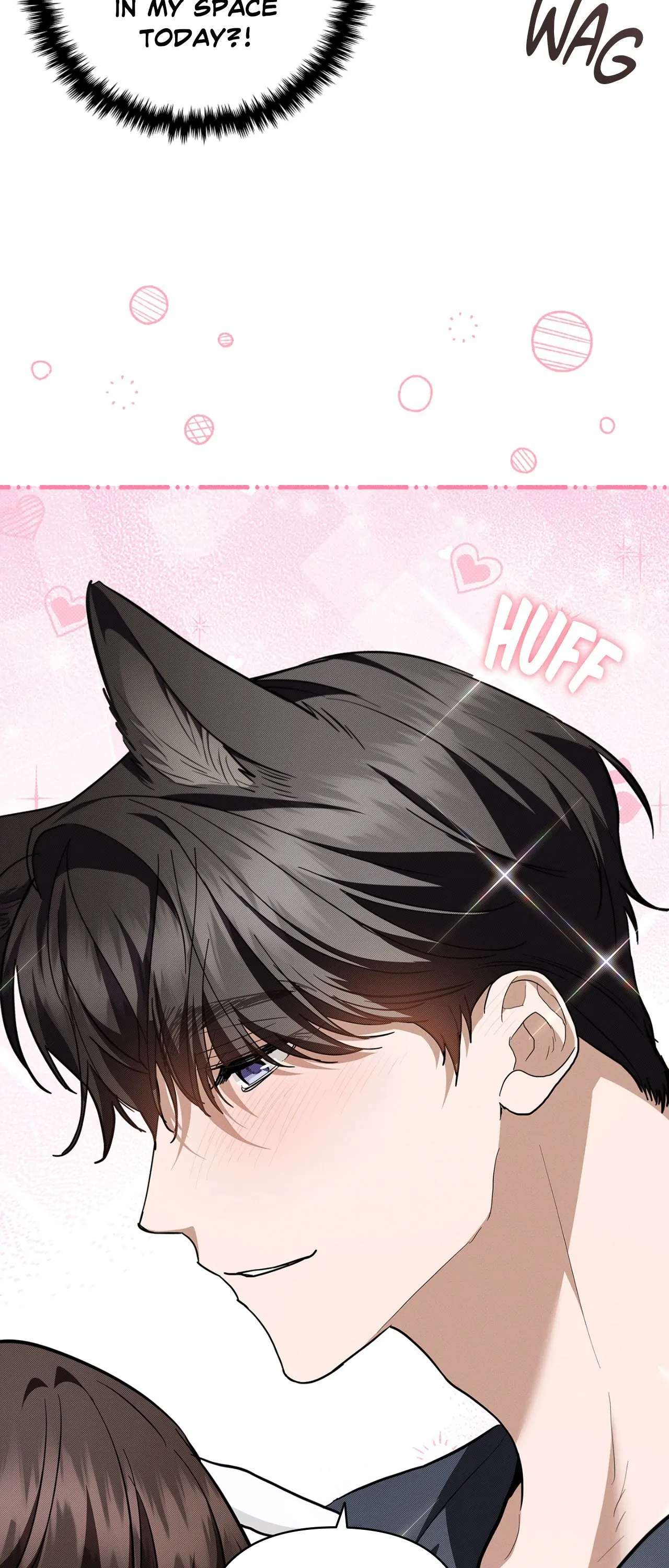 Read Paws & Claws chapter 18 image 53 on Lezhin