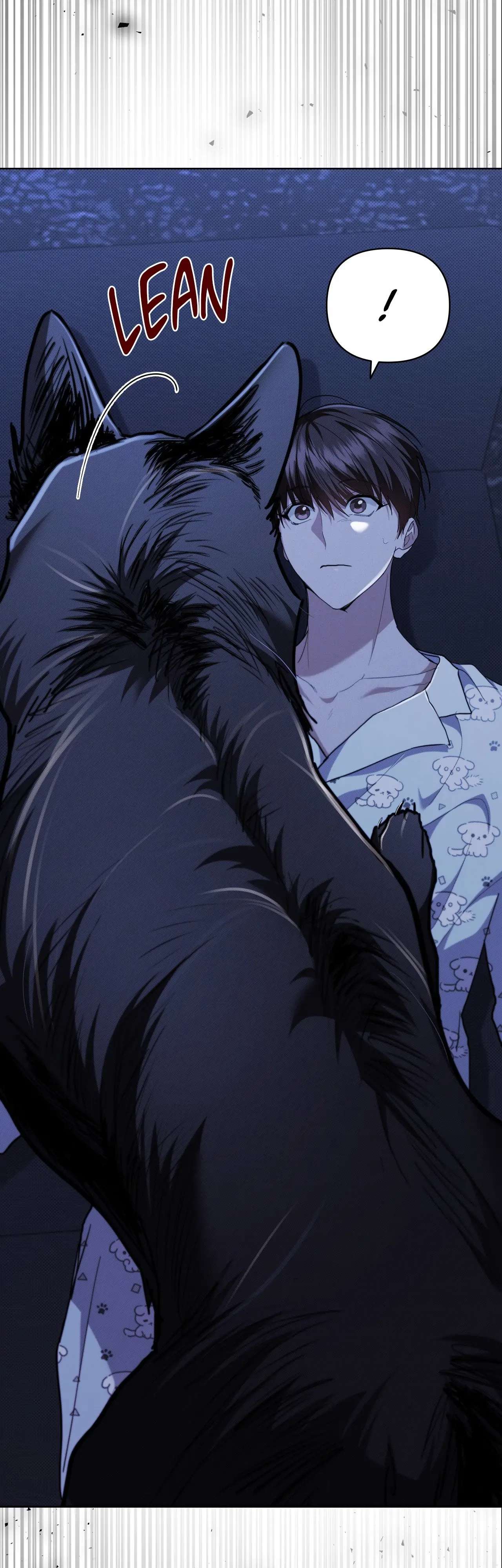 Read Paws & Claws chapter 19 image 5 on Lezhin