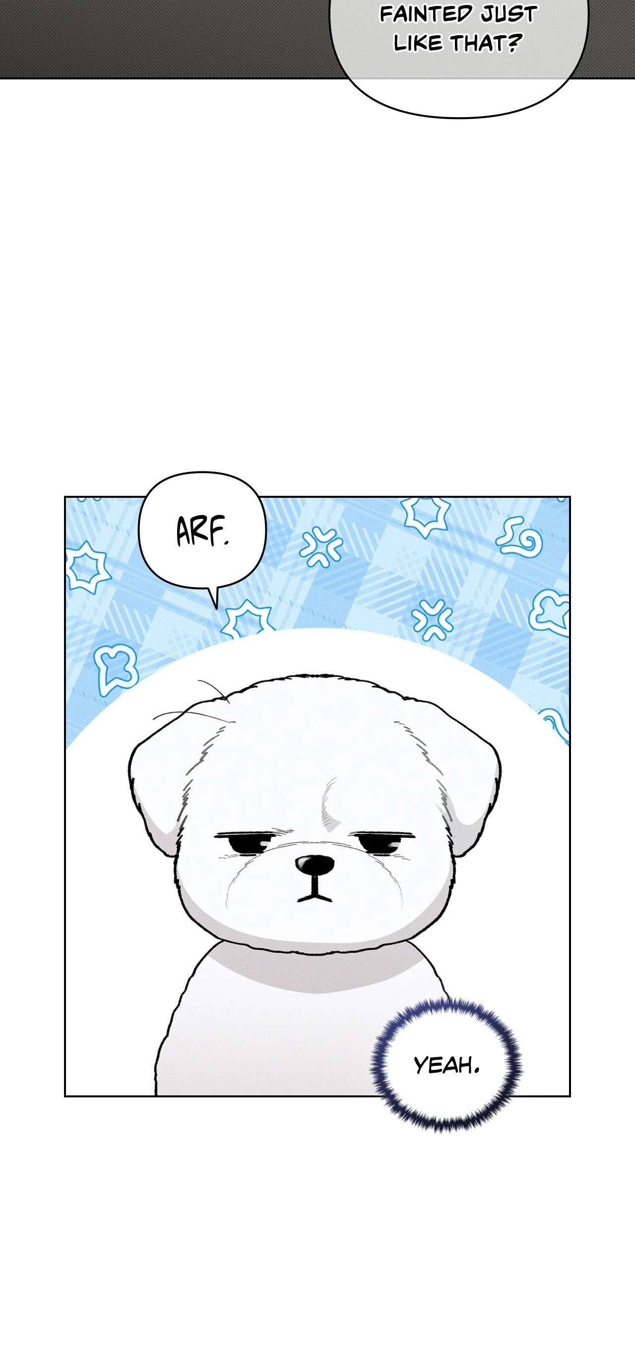 Read Paws & Claws chapter 2.1 image 1 on Lezhin