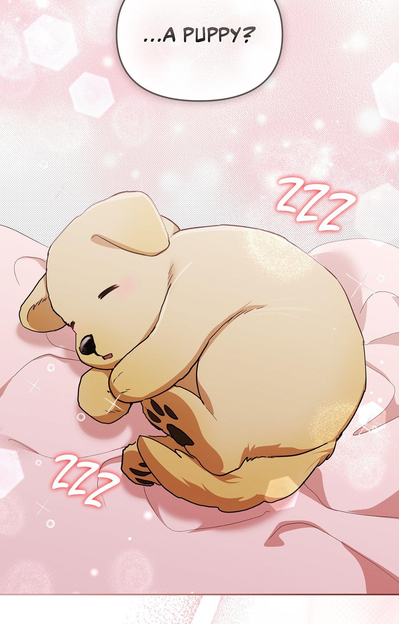 Read Paws & Claws chapter 2 image 28 on Lezhin
