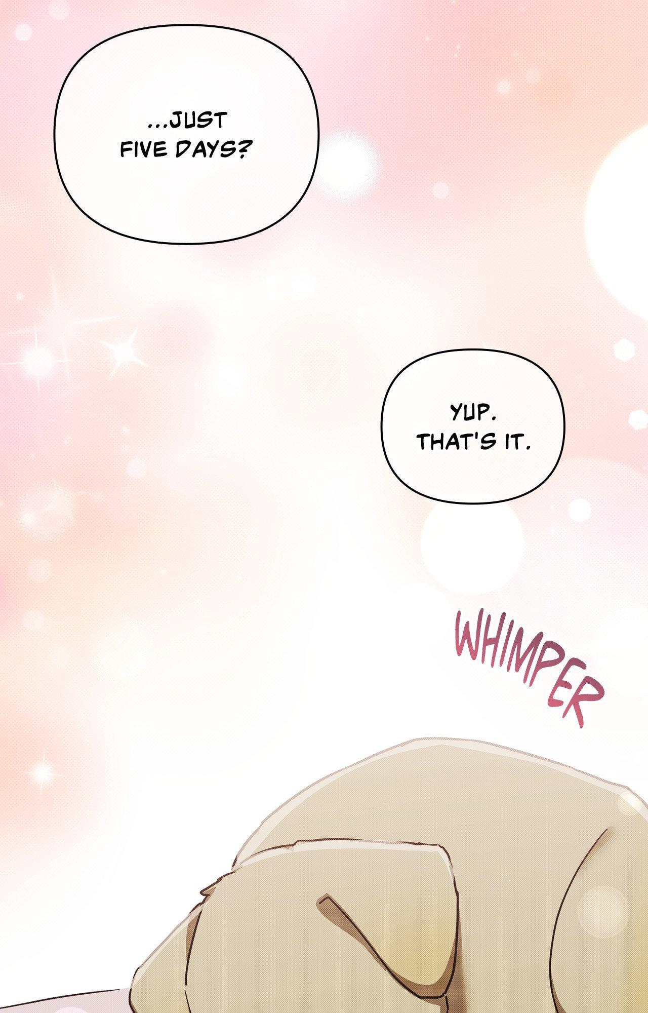 Read Paws & Claws chapter 2 image 58 on Lezhin
