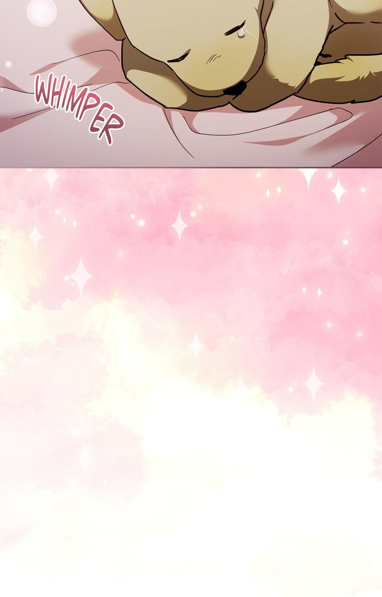 Read Paws & Claws chapter 2 image 59 on Lezhin