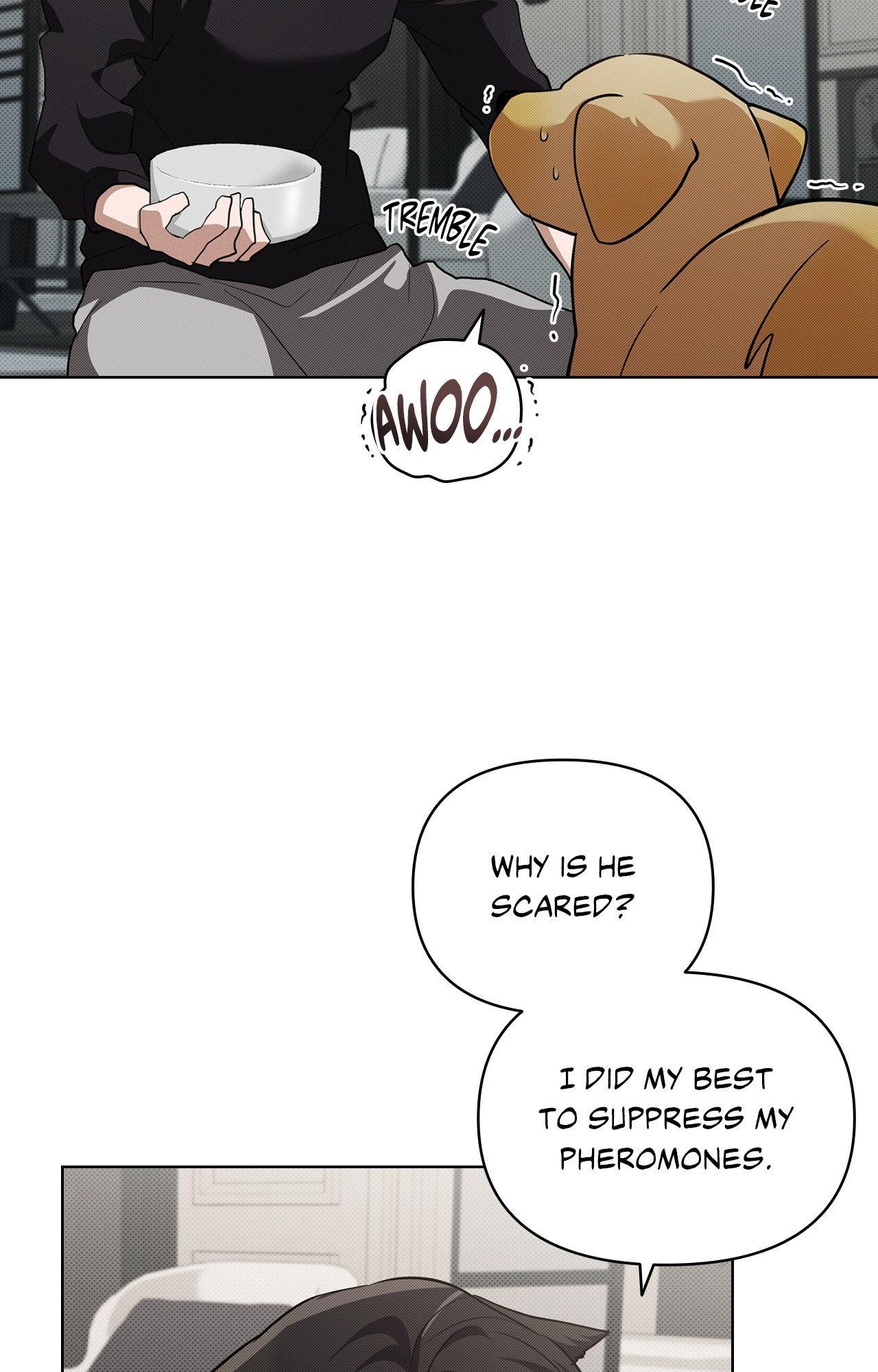 Read Paws & Claws chapter 2 image 74 on Lezhin