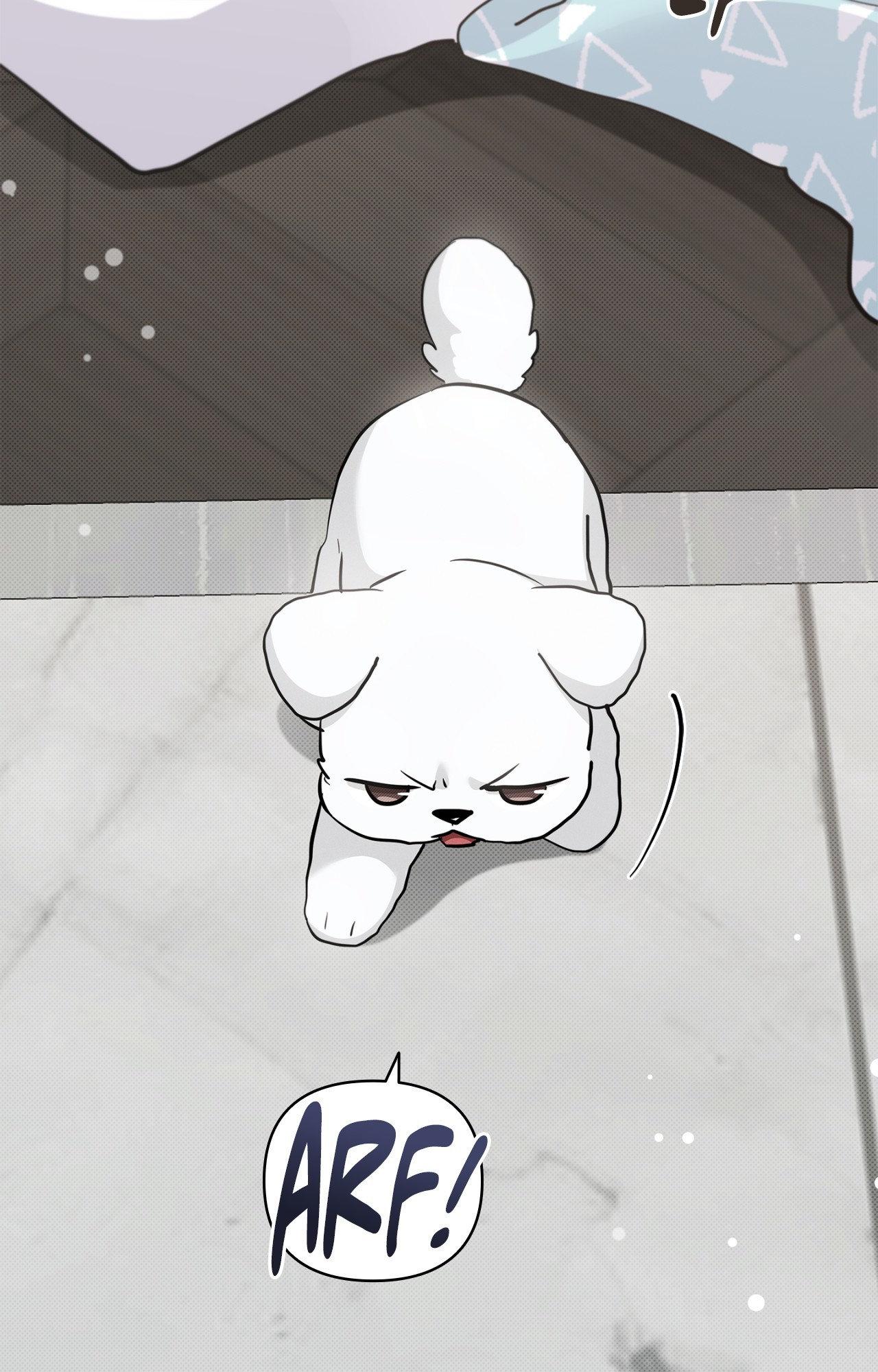 Read Paws & Claws chapter 2 image 96 on Lezhin