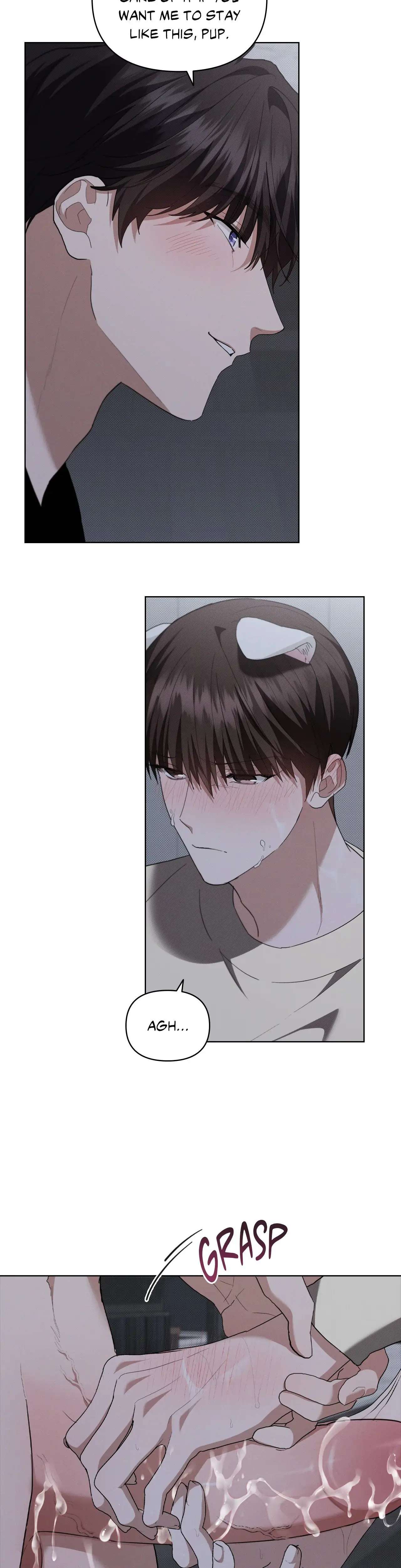 Read Paws & Claws chapter 24 image 36 on Lezhin