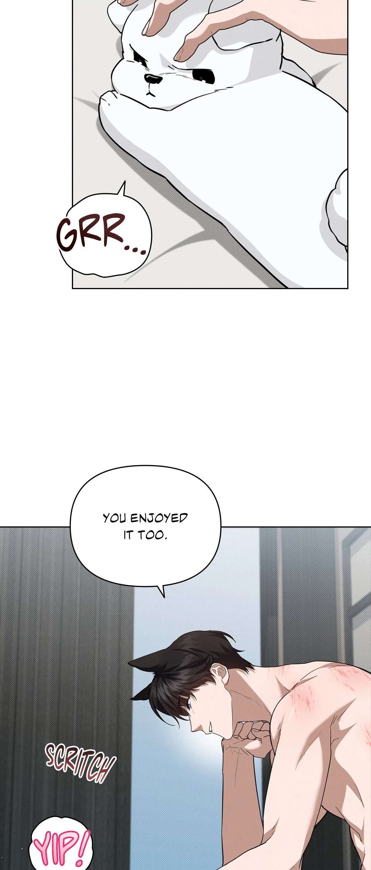 Read Paws & Claws chapter 26 image 42 on Lezhin