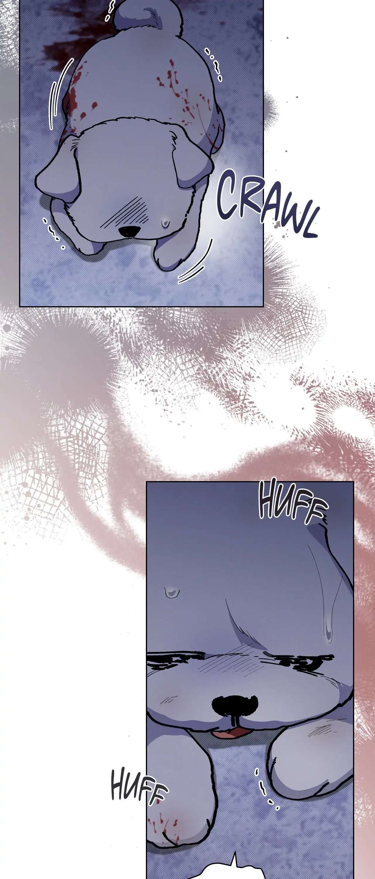 Read Paws & Claws chapter 3.1 image 39 on Lezhin