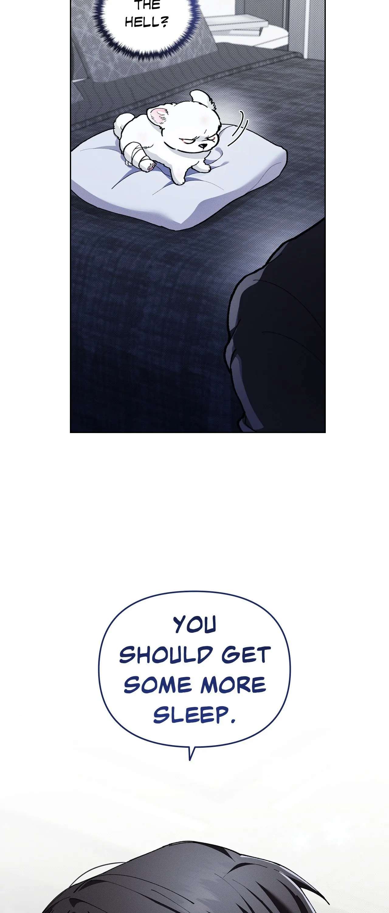 Read Paws & Claws chapter 3.1 image 61 on Lezhin