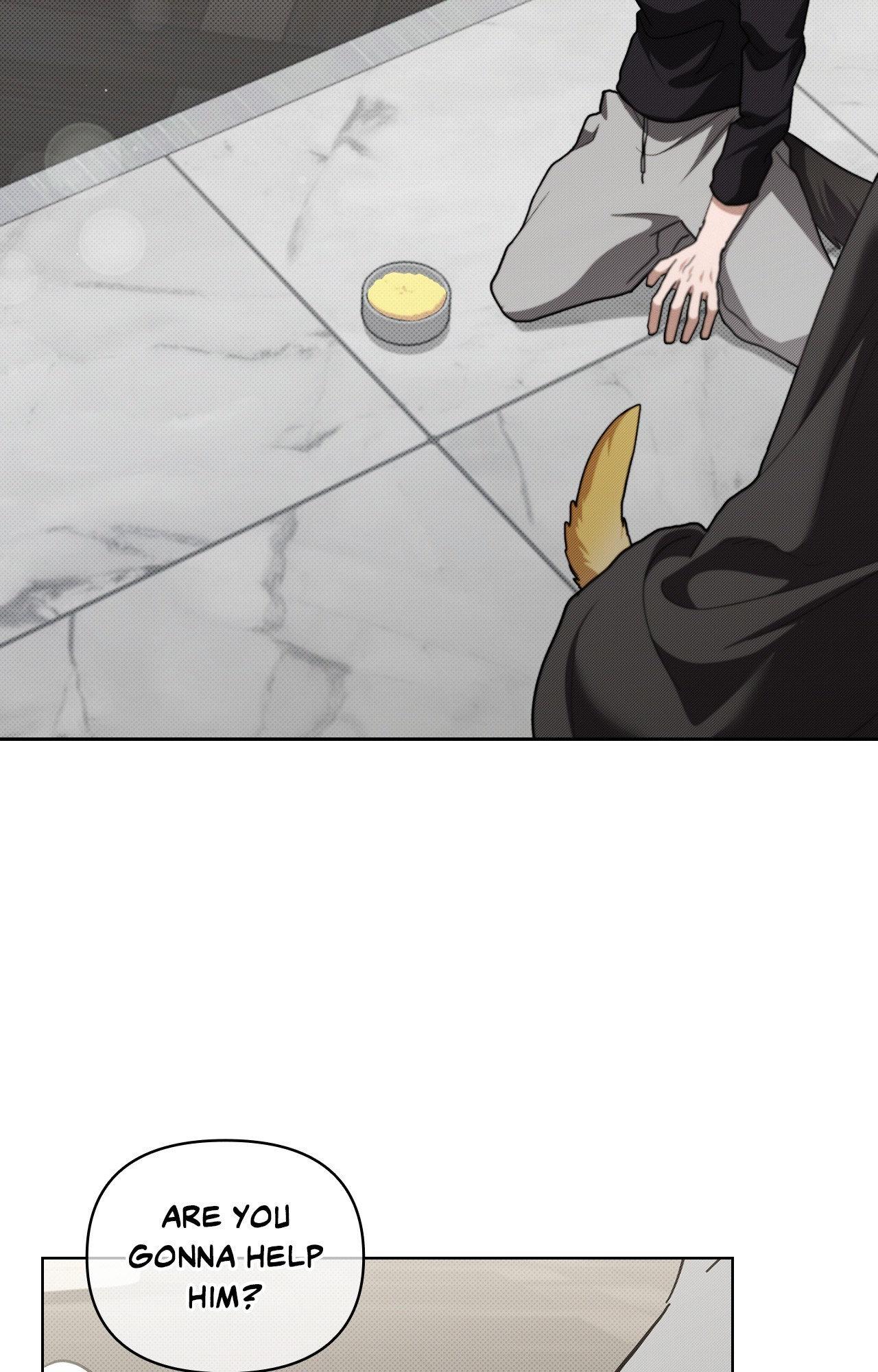 Read Paws & Claws chapter 3 image 1 on Lezhin