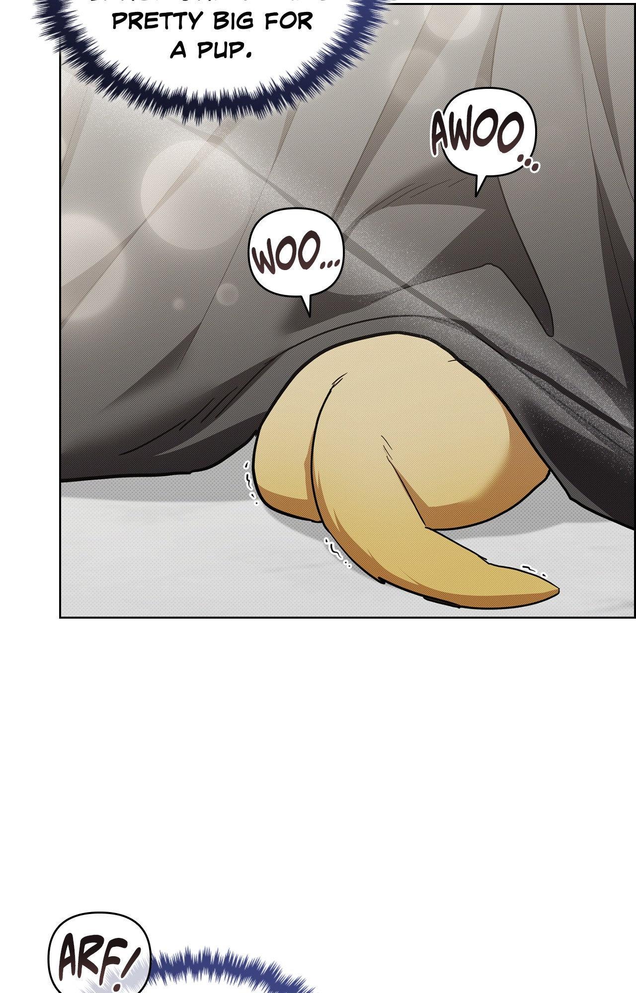 Read Paws & Claws chapter 3 image 10 on Lezhin