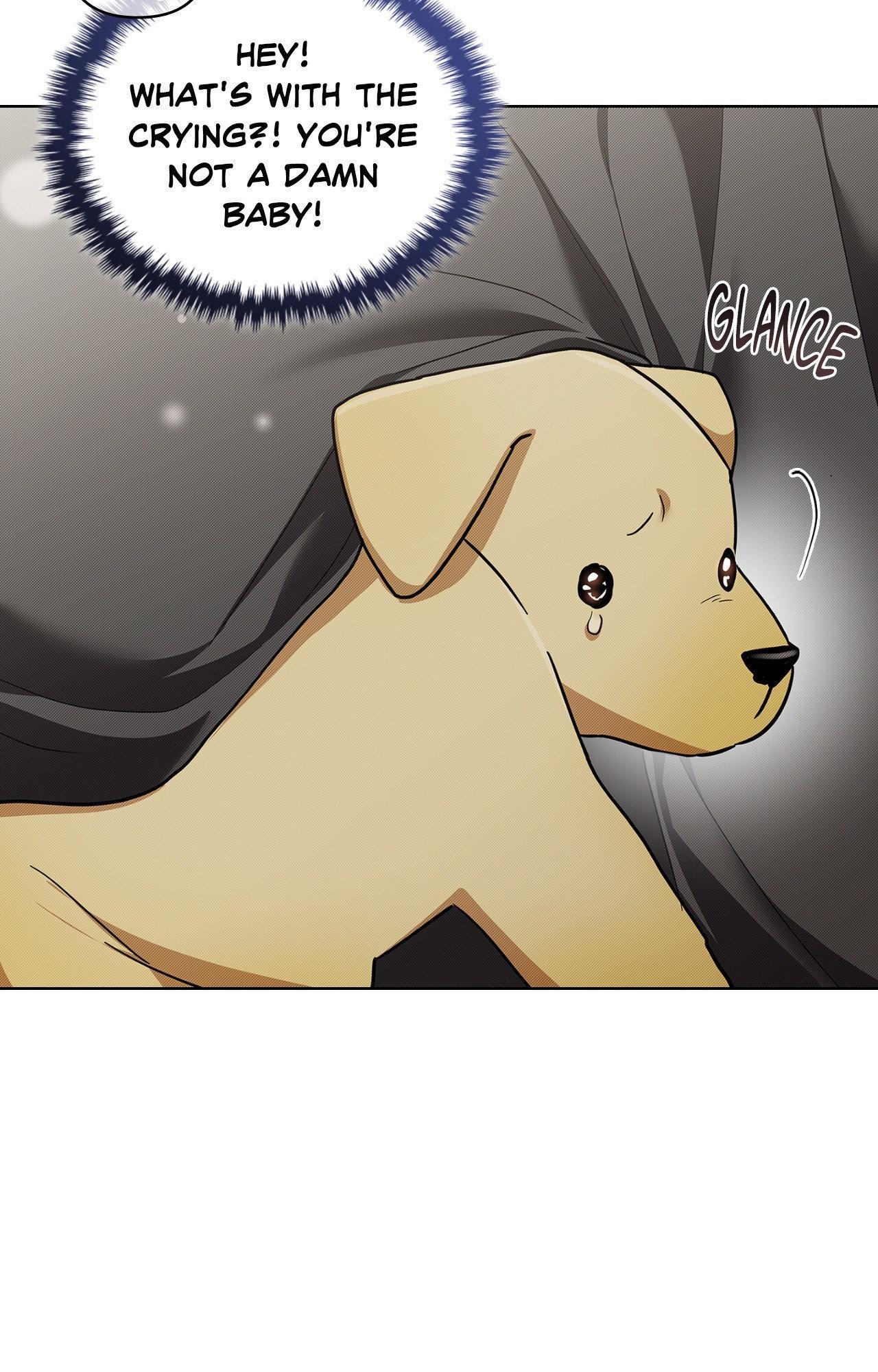 Read Paws & Claws chapter 3 image 11 on Lezhin