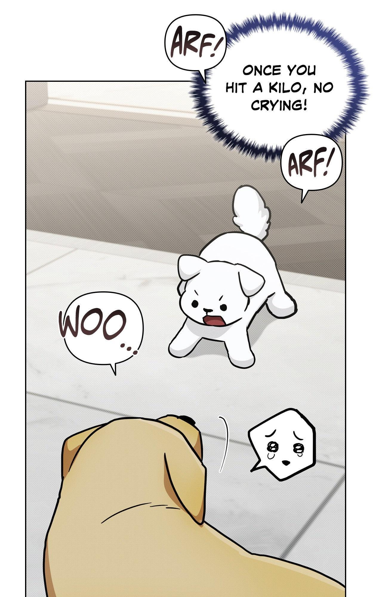 Read Paws & Claws chapter 3 image 12 on Lezhin