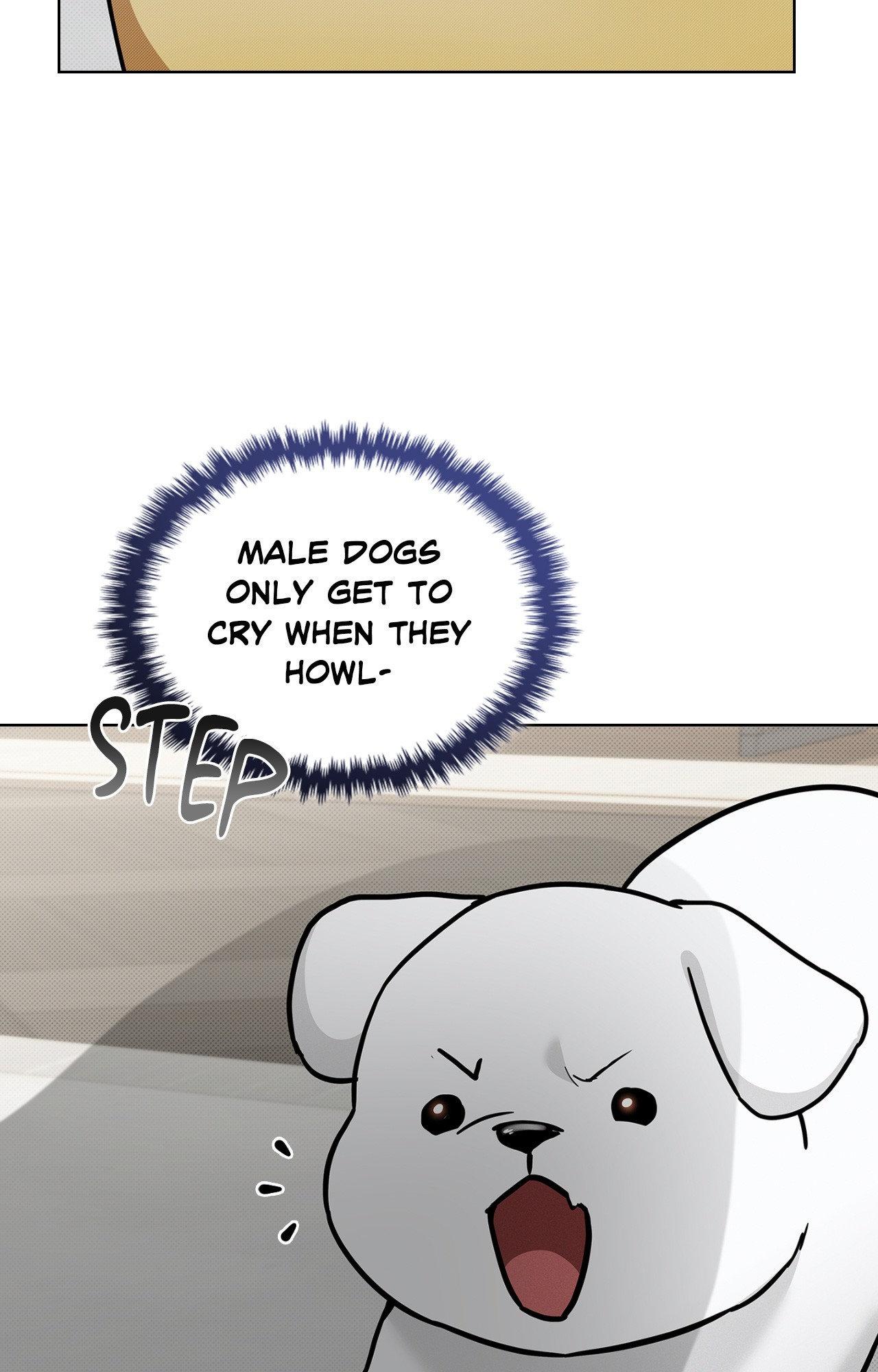 Read Paws & Claws chapter 3 image 13 on Lezhin