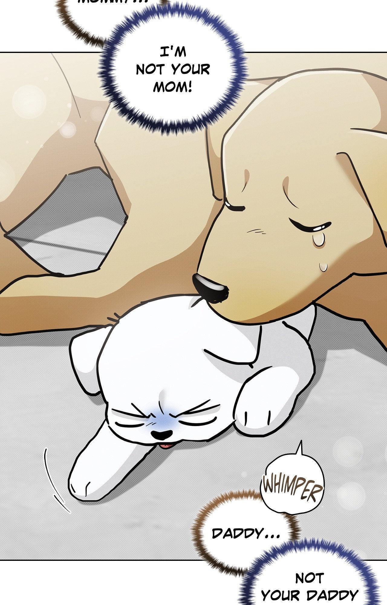 Read Paws & Claws chapter 3 image 17 on Lezhin