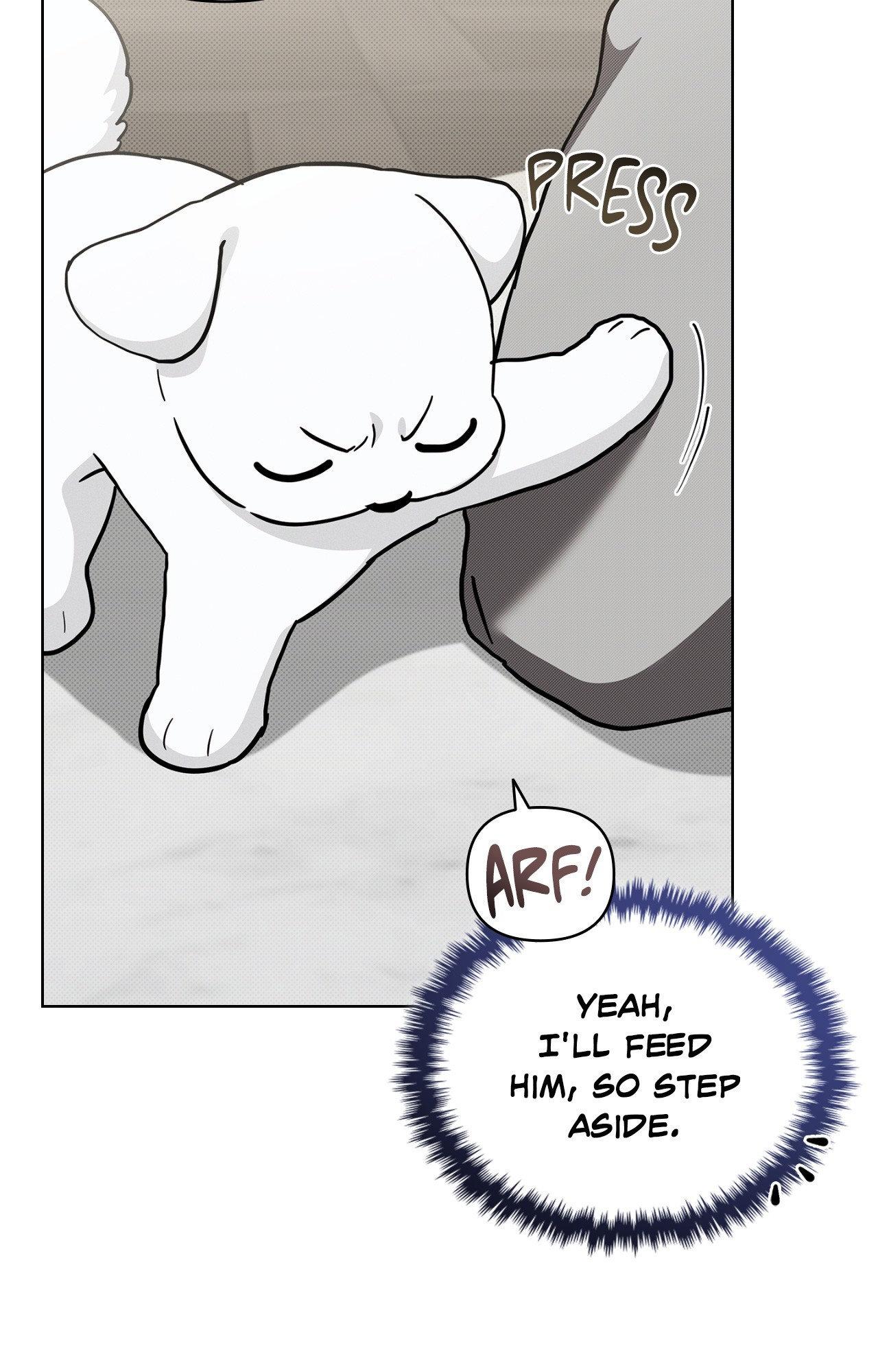 Read Paws & Claws chapter 3 image 2 on Lezhin