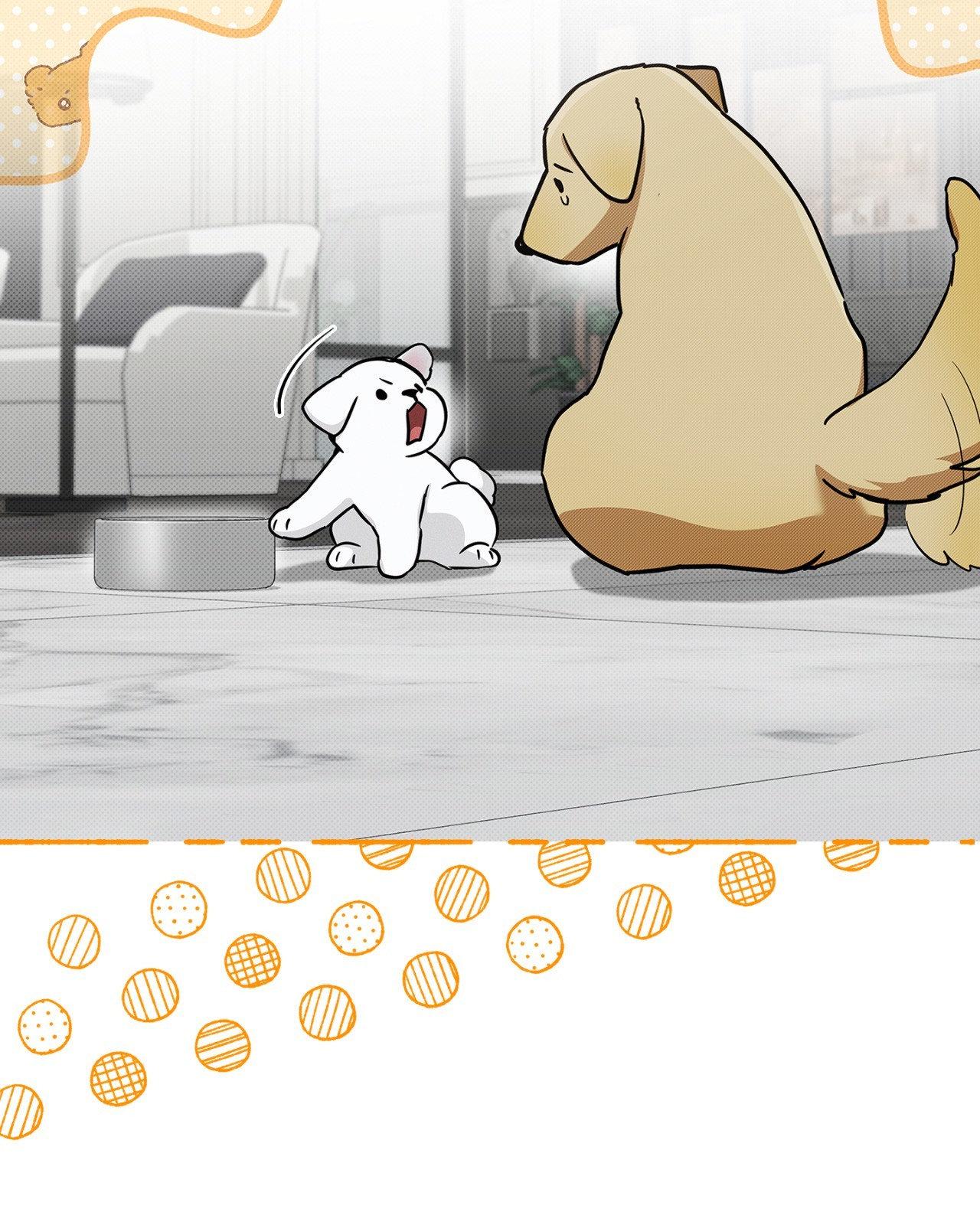Read Paws & Claws chapter 3 image 21 on Lezhin