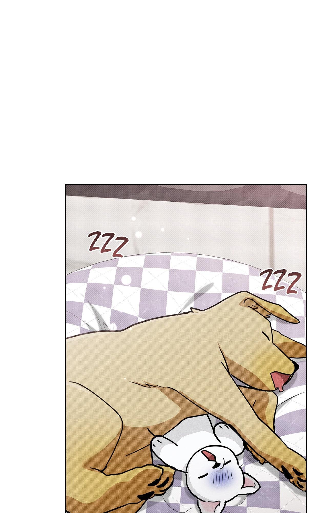 Read Paws & Claws chapter 3 image 26 on Lezhin