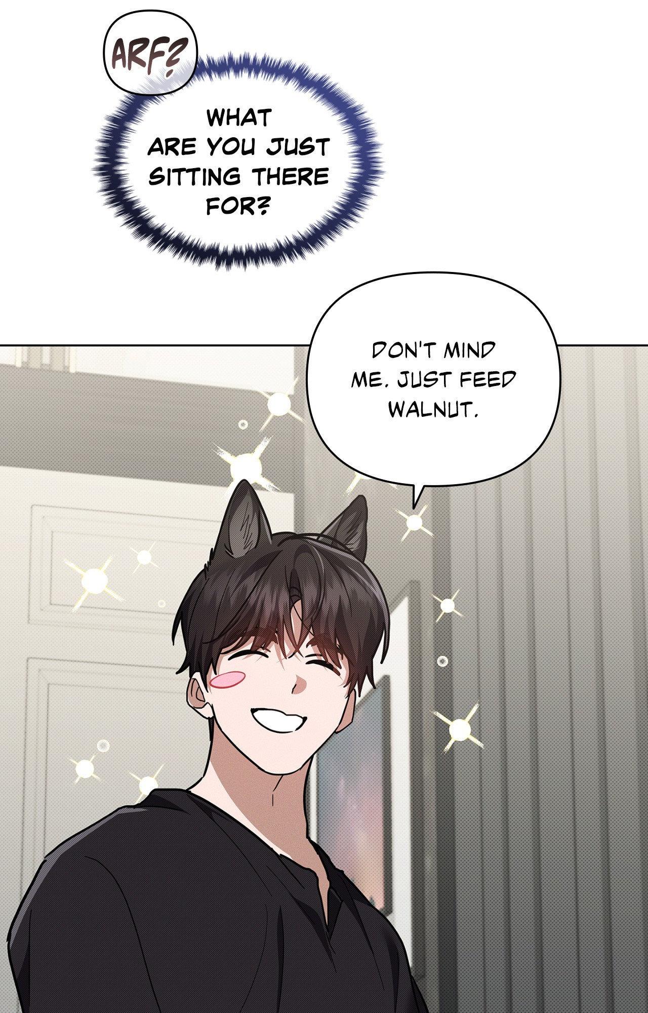 Read Paws & Claws chapter 3 image 3 on Lezhin