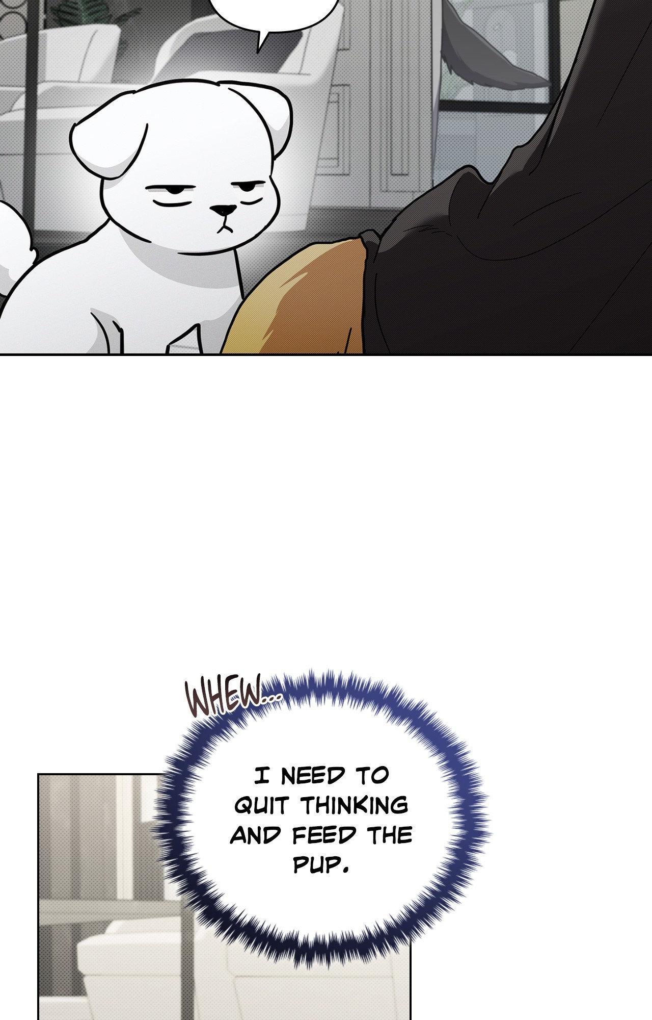 Read Paws & Claws chapter 3 image 8 on Lezhin