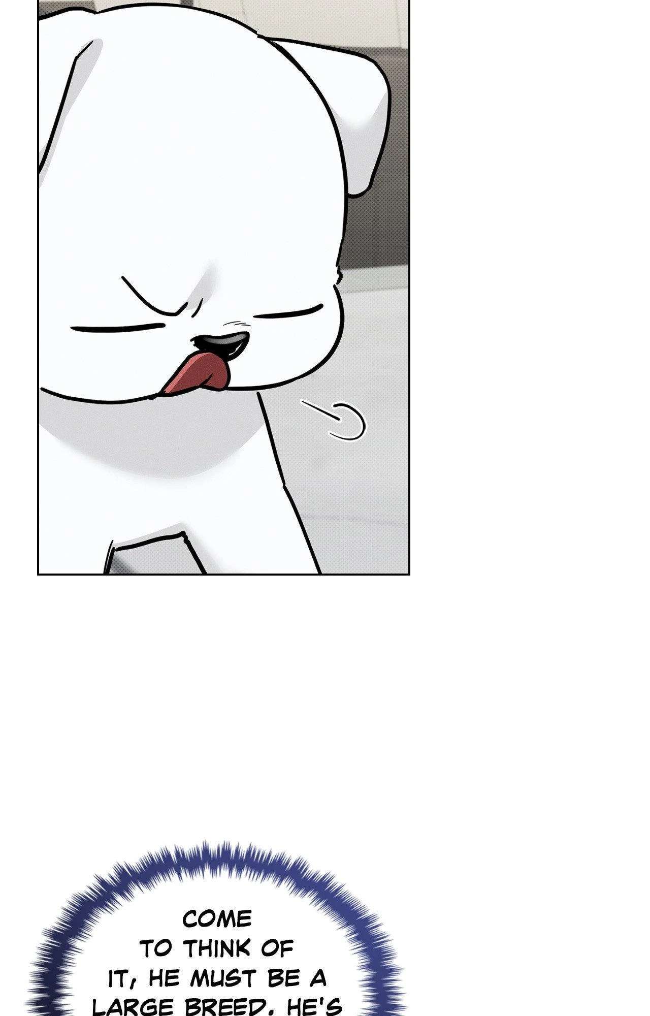Read Paws & Claws chapter 3 image 9 on Lezhin