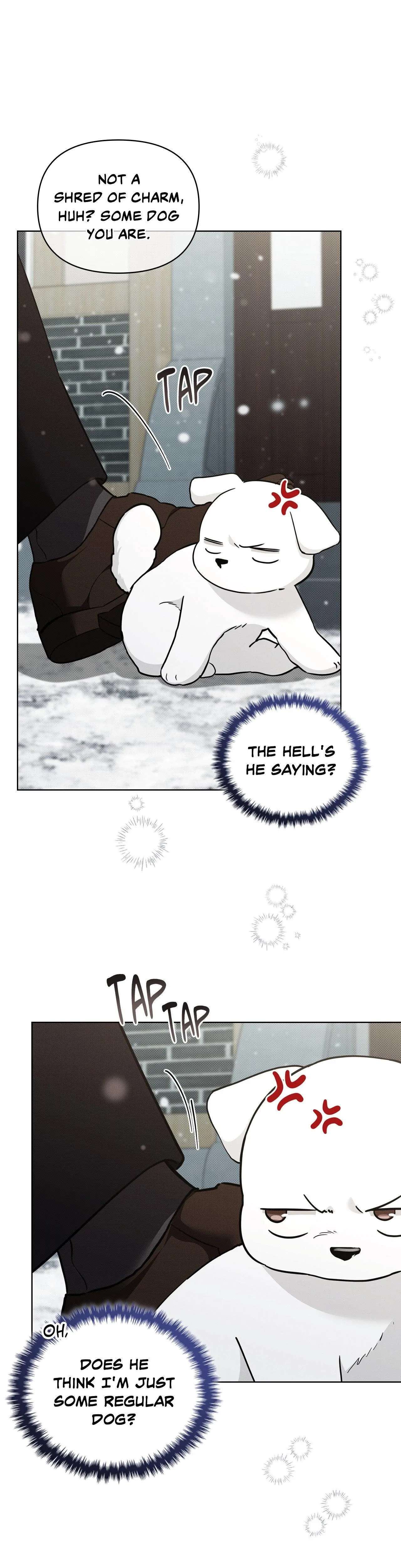 Read Paws & Claws chapter 36 image 2 on Lezhin
