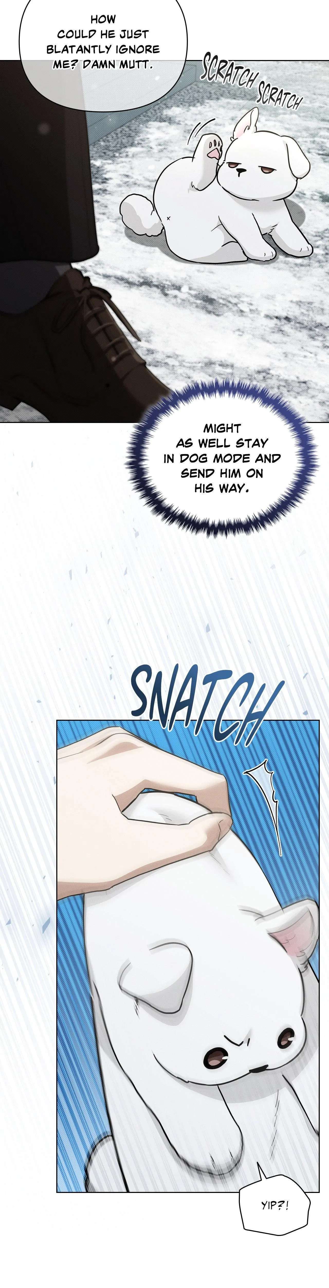 Read Paws & Claws chapter 36 image 6 on Lezhin