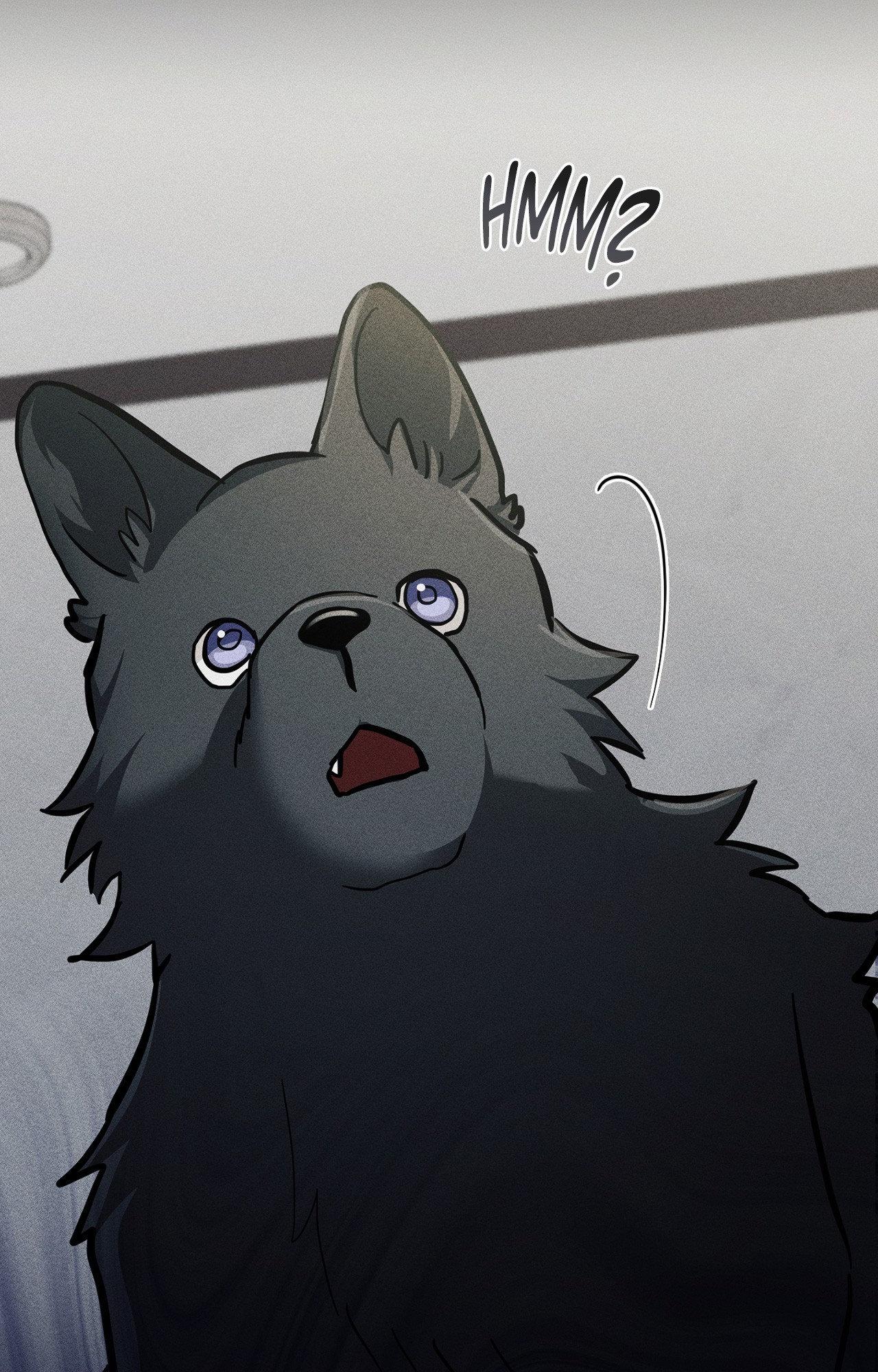 Read Paws & Claws chapter 38 image 101 on Lezhin