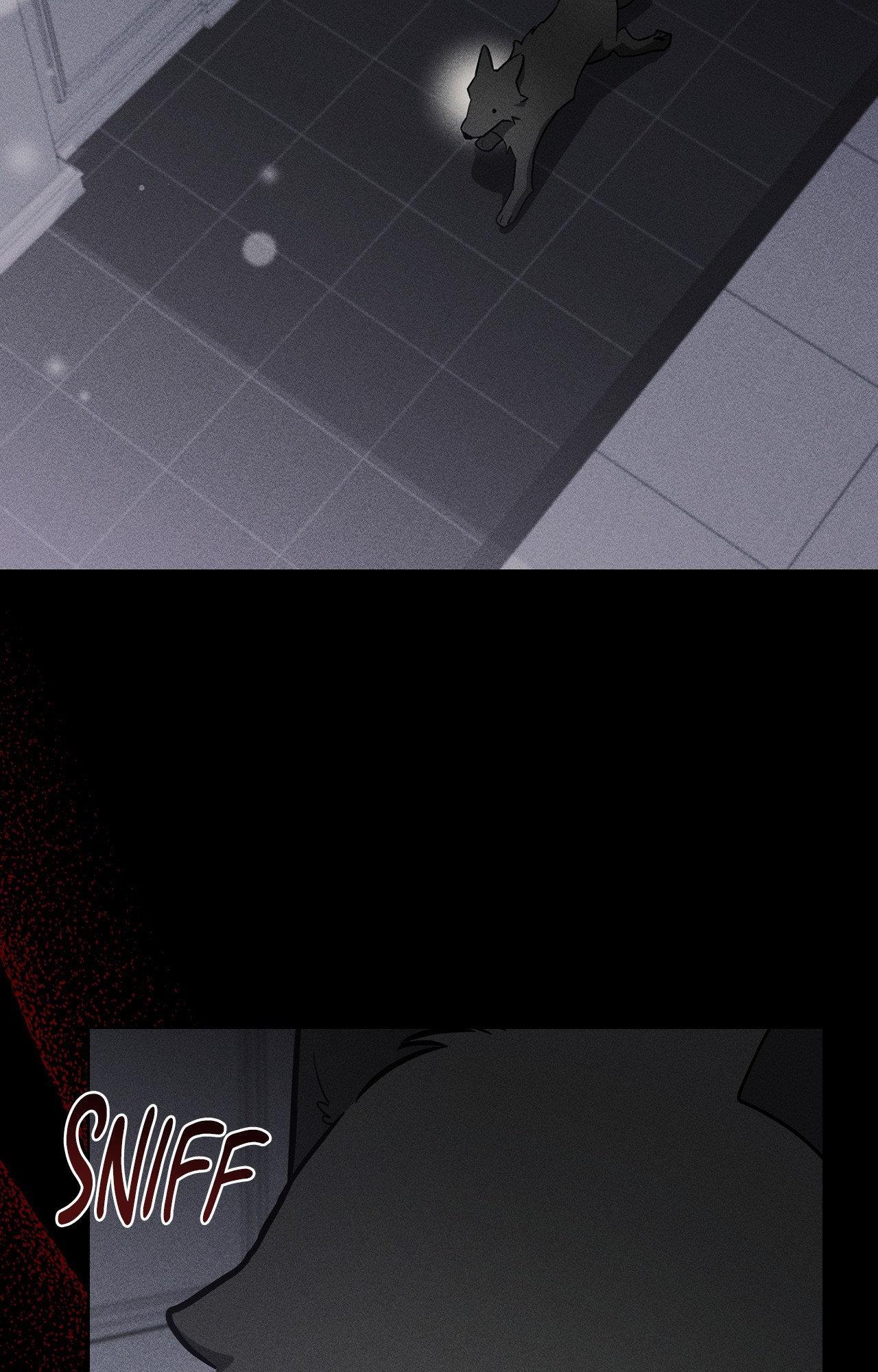 Read Paws & Claws chapter 38 image 74 on Lezhin