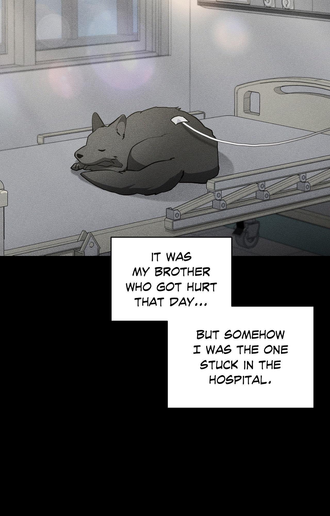 Read Paws & Claws chapter 38 image 84 on Lezhin