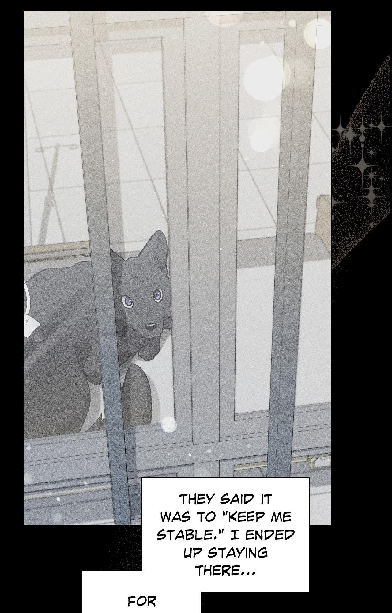 Read Paws & Claws chapter 38 image 85 on Lezhin