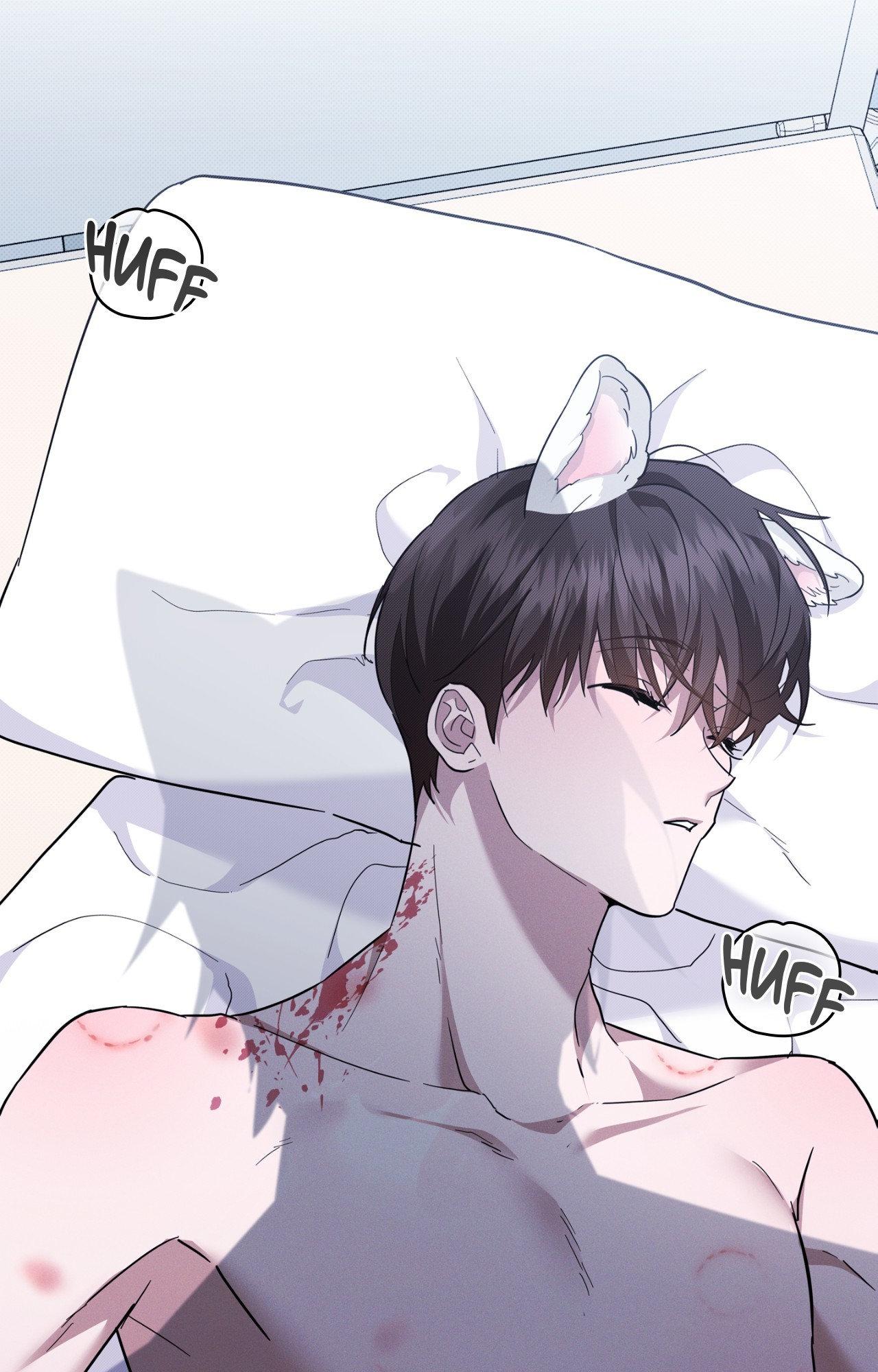 Read Paws & Claws chapter 39 image 112 on Lezhin
