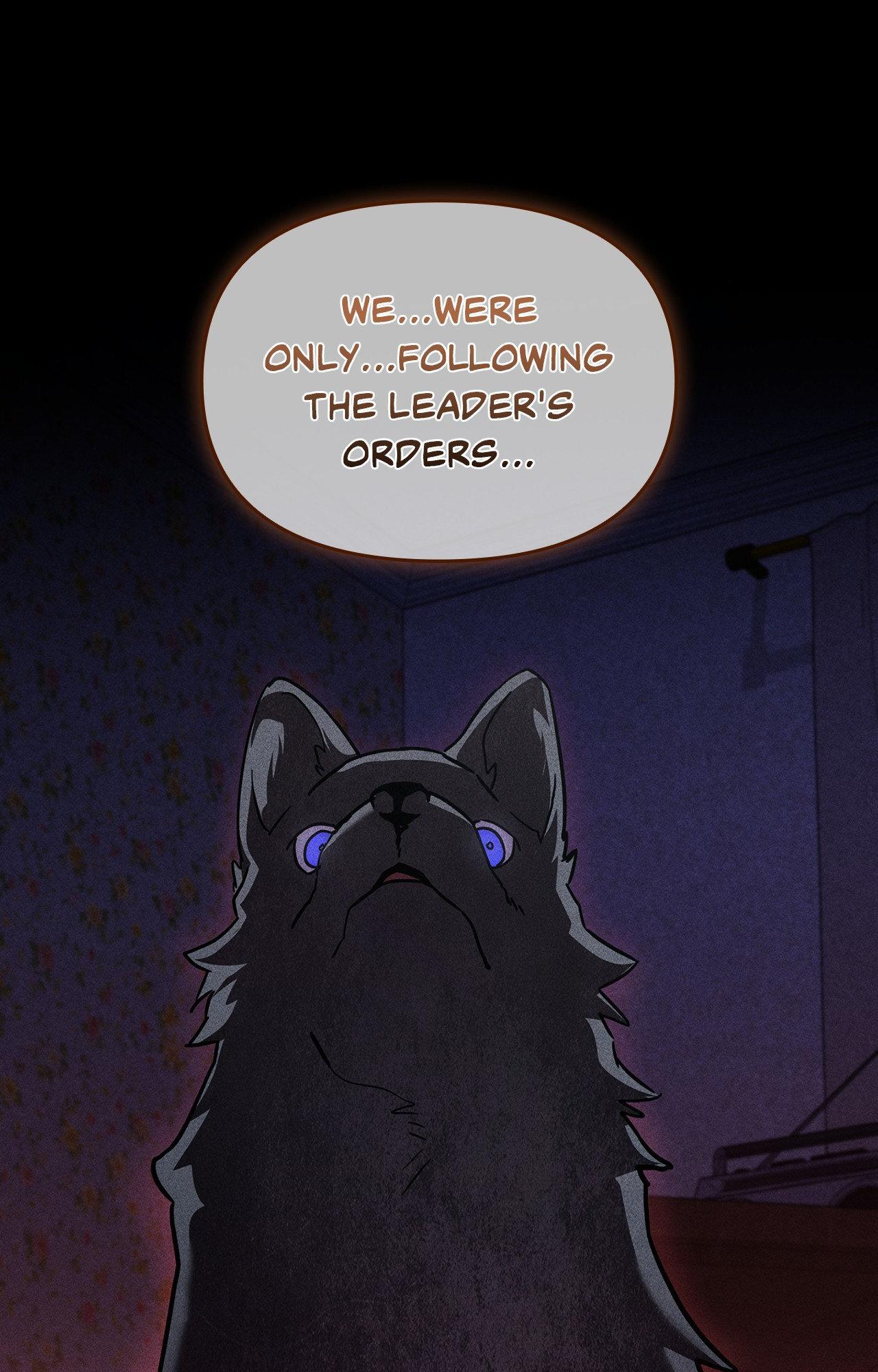 Read Paws & Claws chapter 39 image 72 on Lezhin