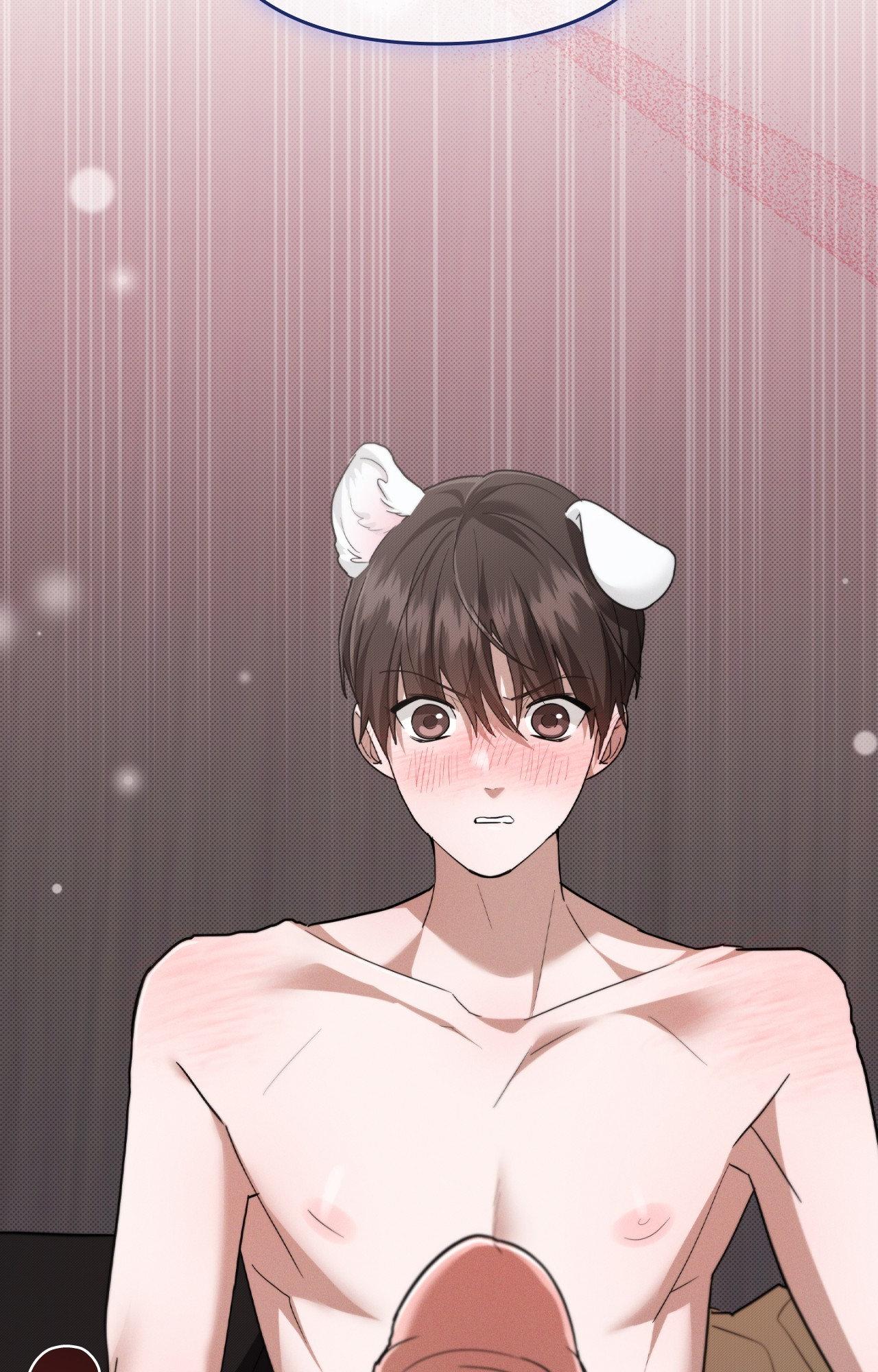 Read Paws & Claws chapter 4 image 1 on Lezhin