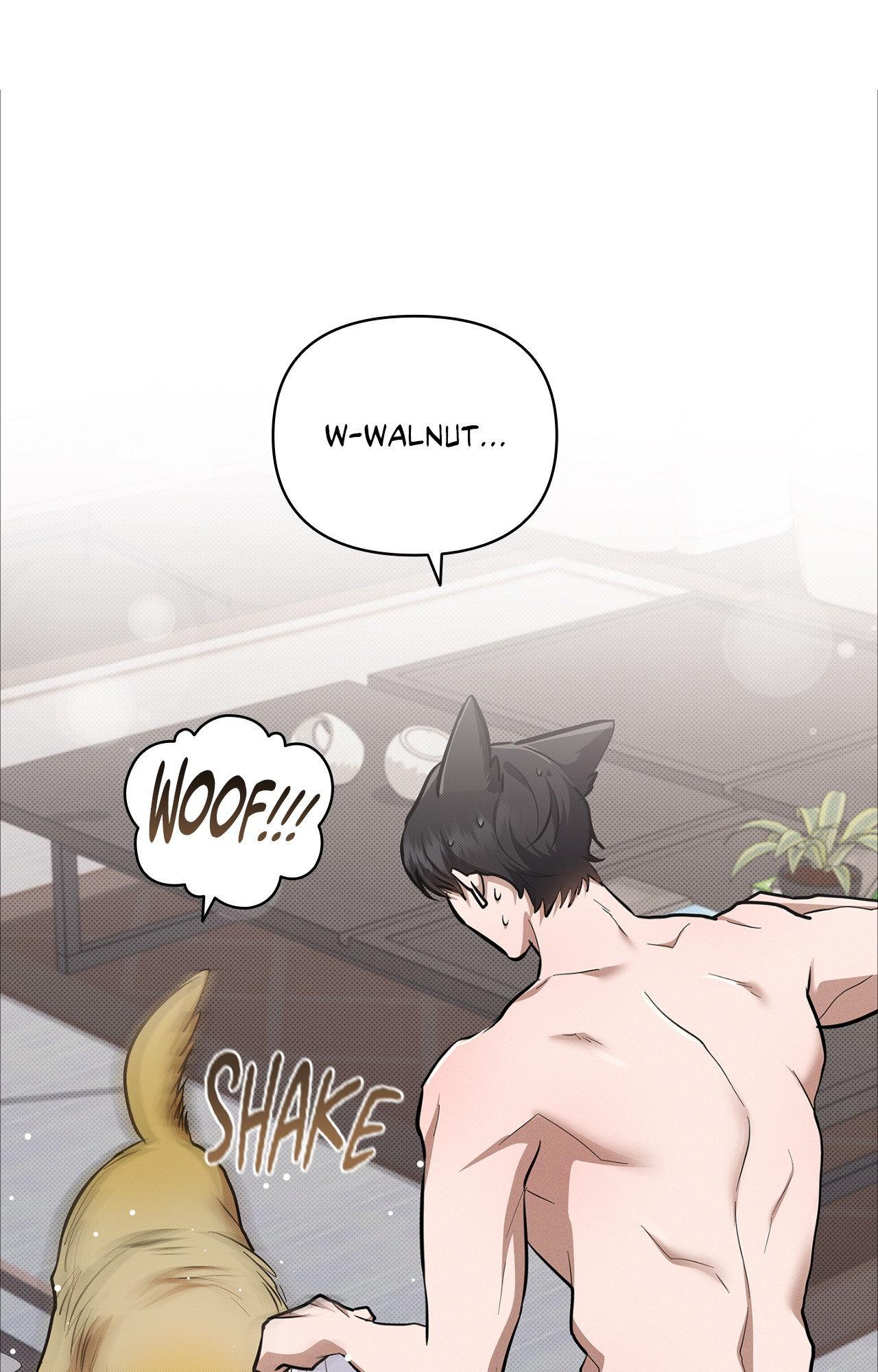 Read Paws & Claws chapter 4 image 71 on Lezhin