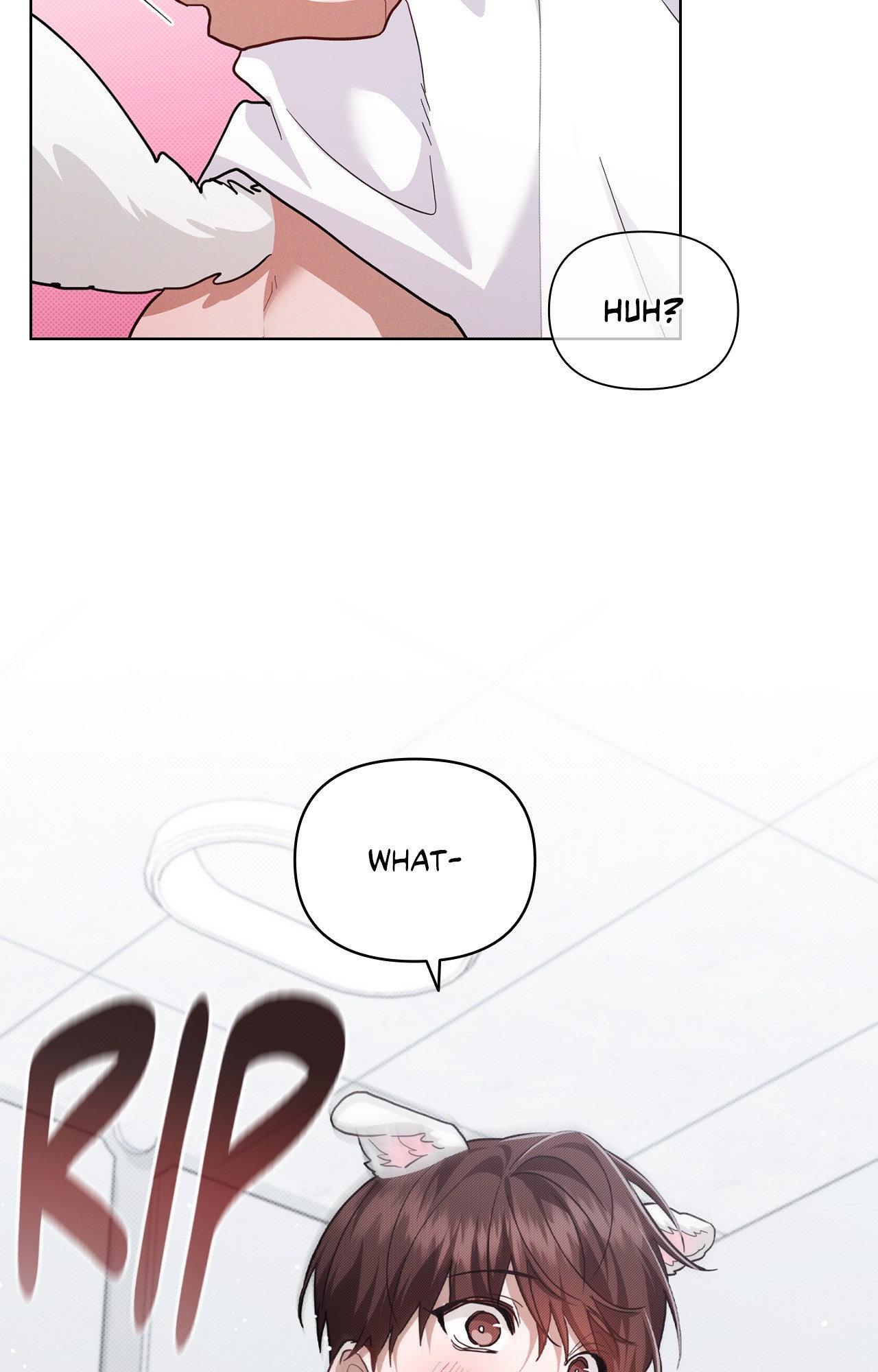 Read Paws & Claws chapter 41 image 11 on Lezhin